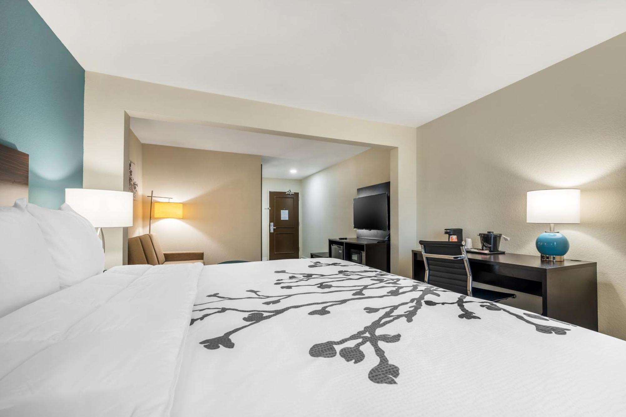 One Room Suite - Non Smoking