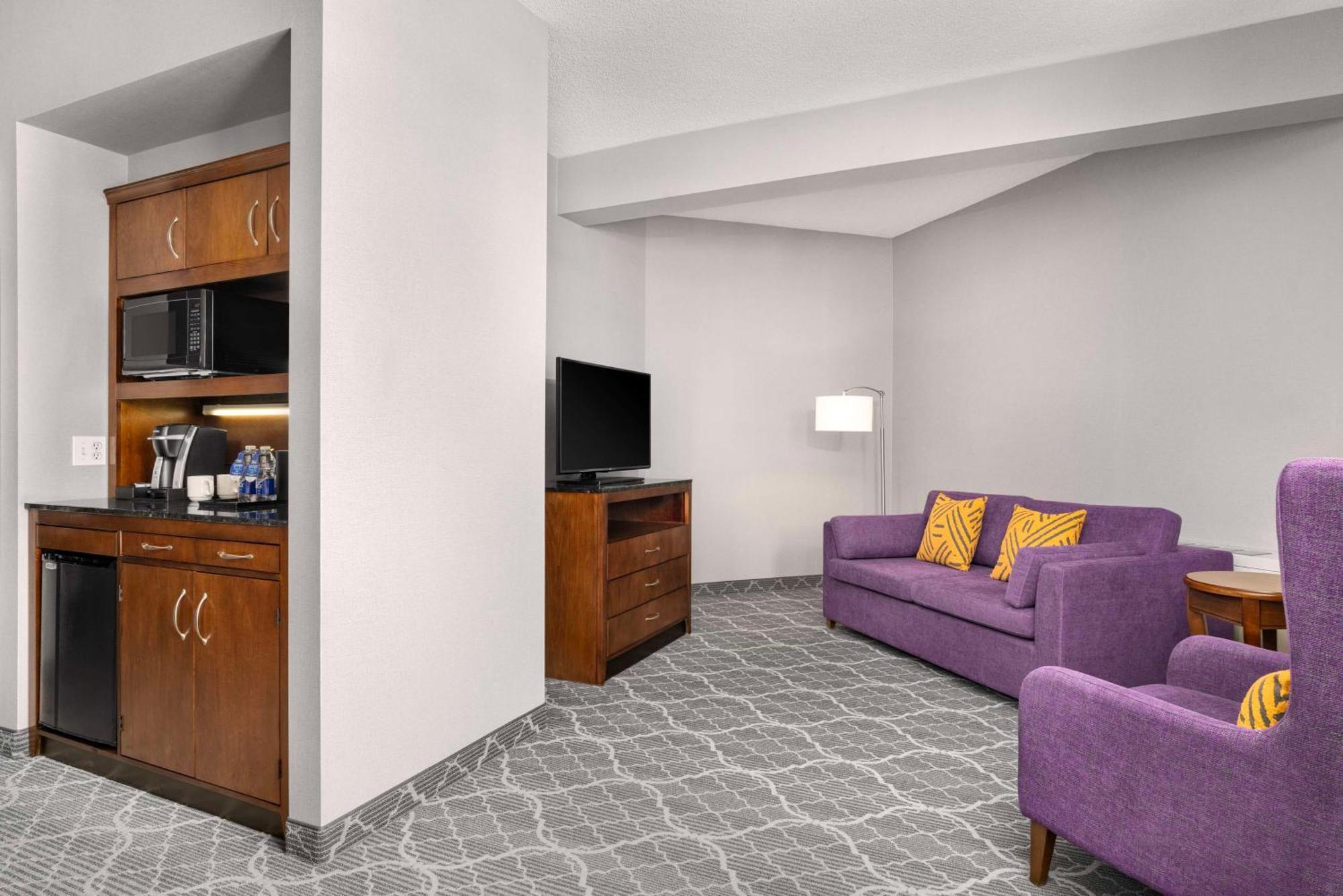 One-Bedroom King Suite with Sofa Bed