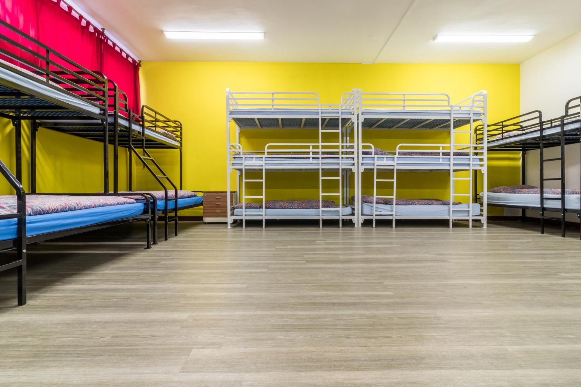 Bunk Bed Mixed Dormitory Room