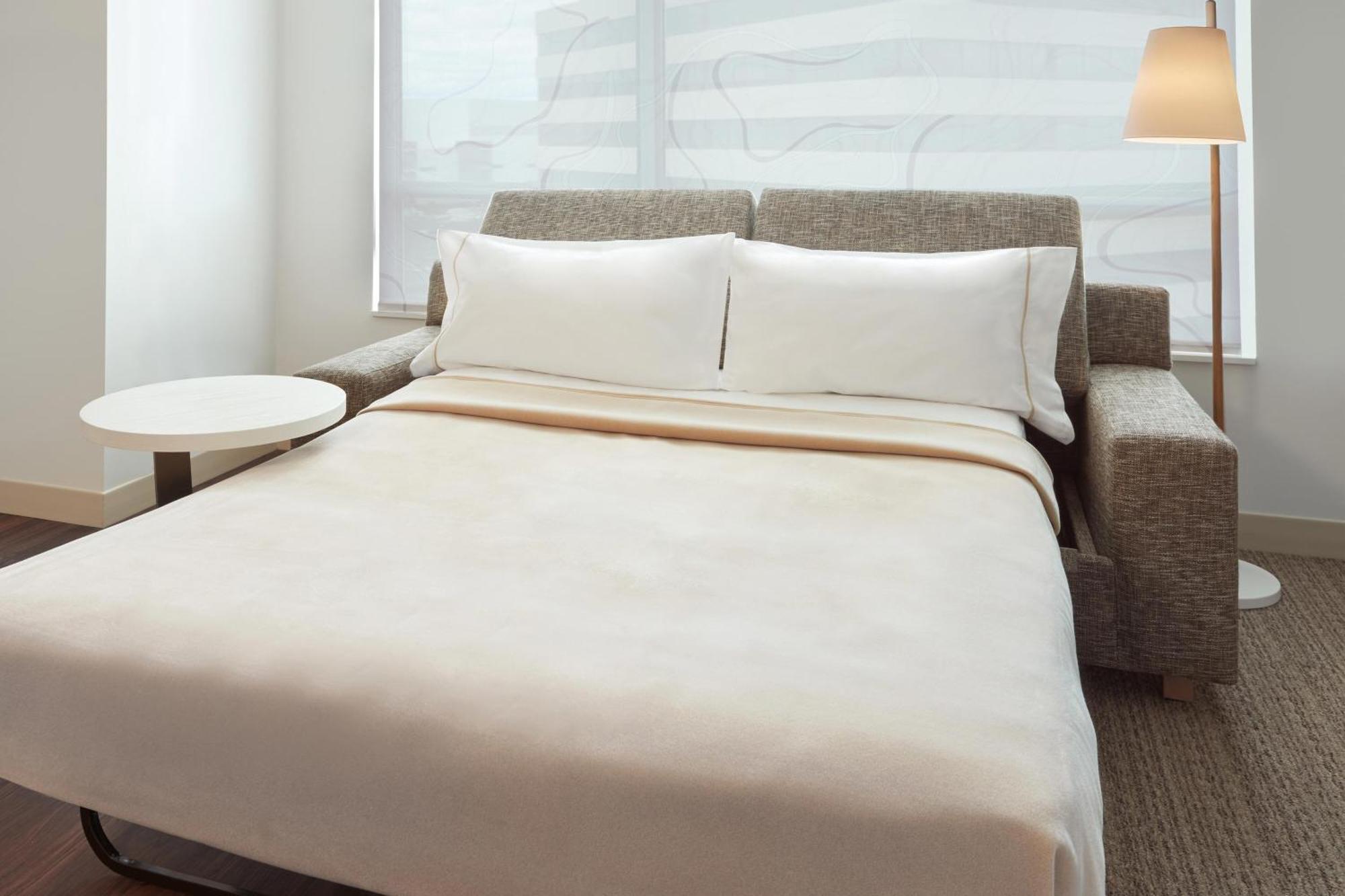 Executive Suite, 1 King, Sofa bed