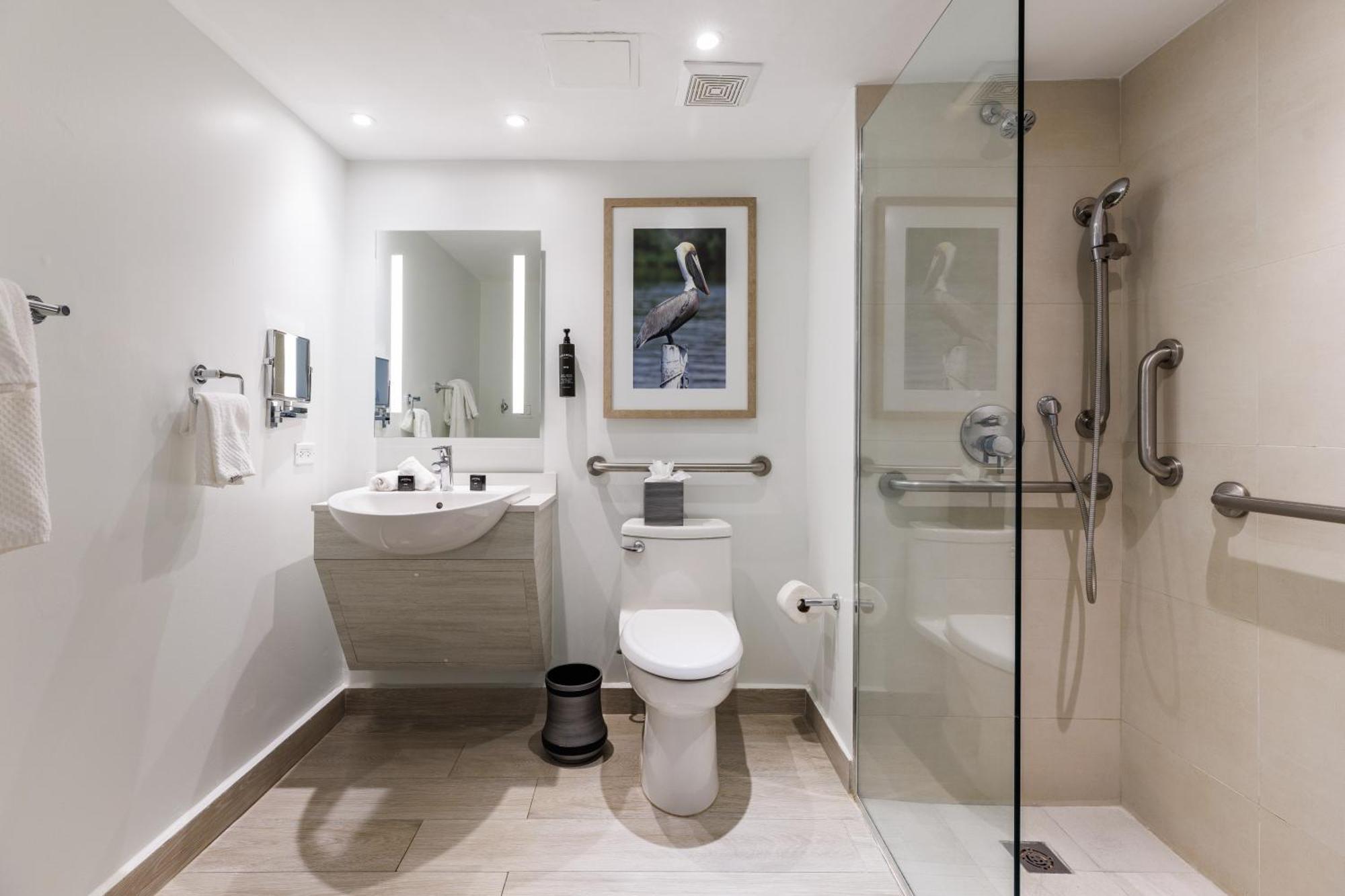 King Room Tub Mobility Hearing Access