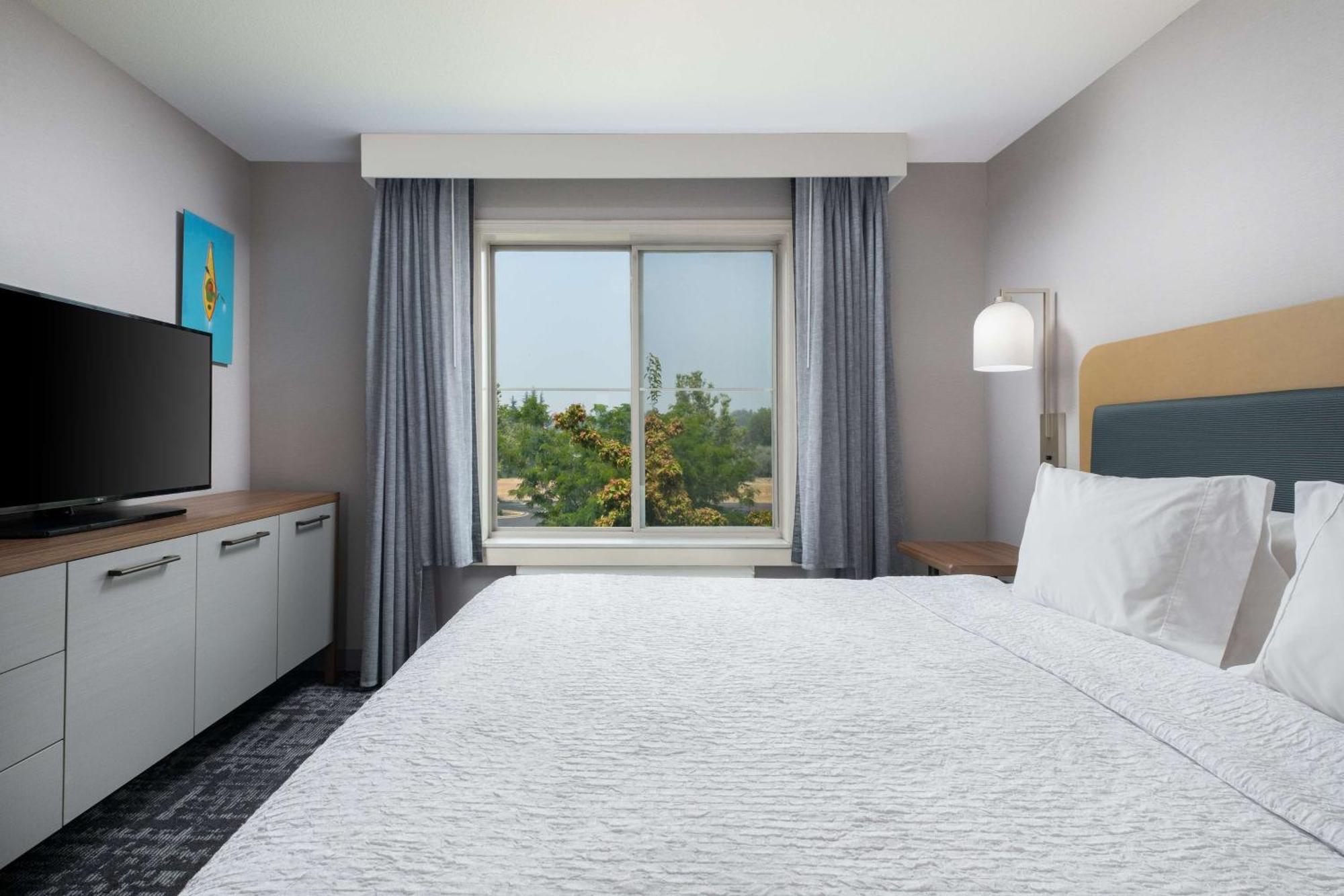 One-Bedroom King Suite Non-Smoking