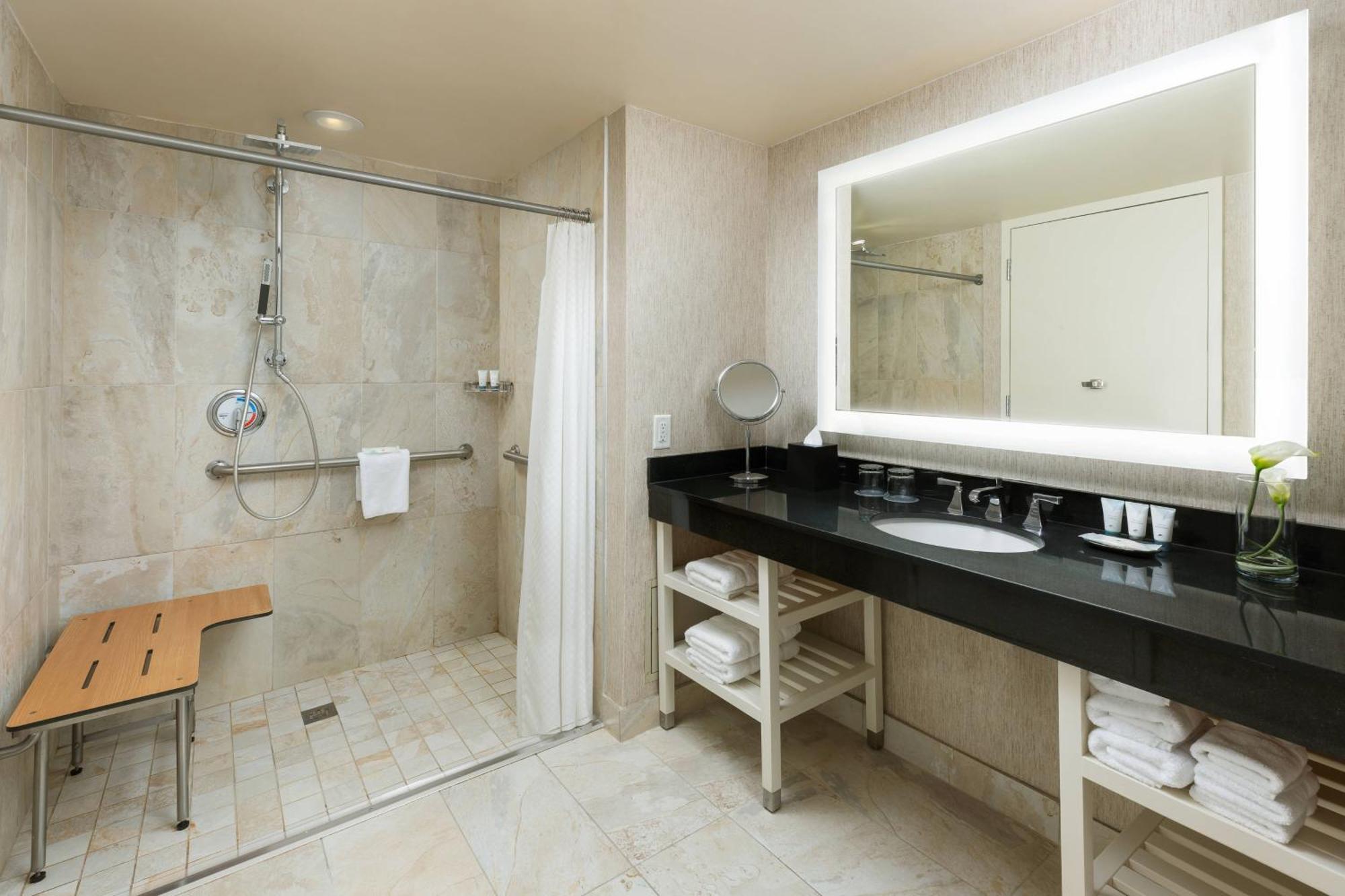 One-Bedroom Executive Suite City View Roll Shower Mobility Accessible