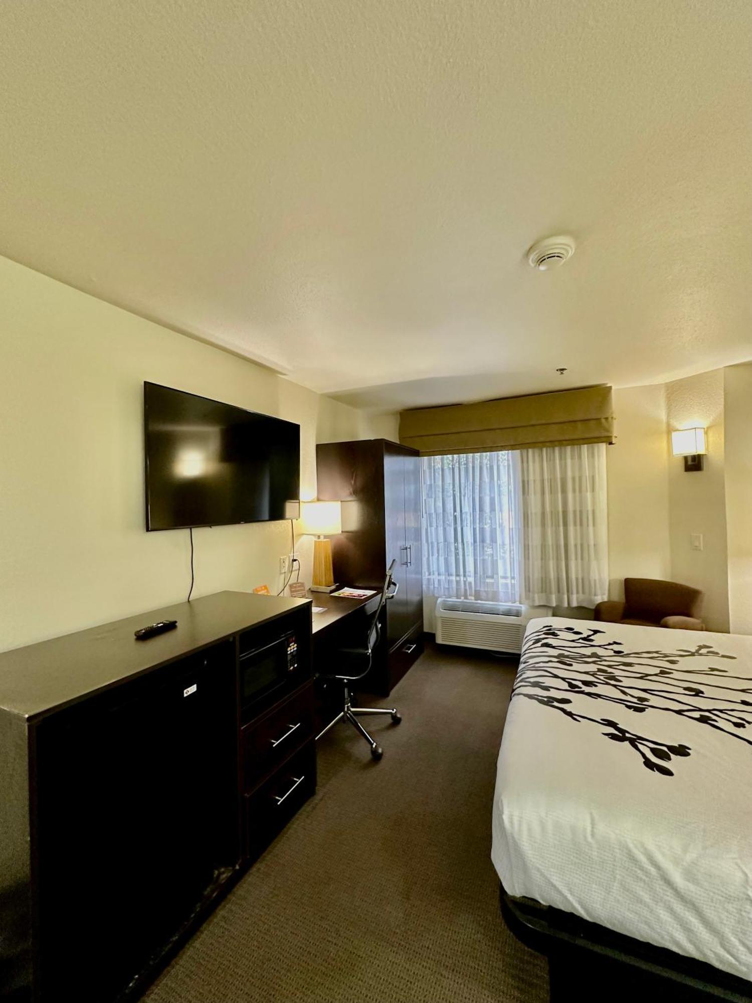 King Room Accessible or Non-Smoking