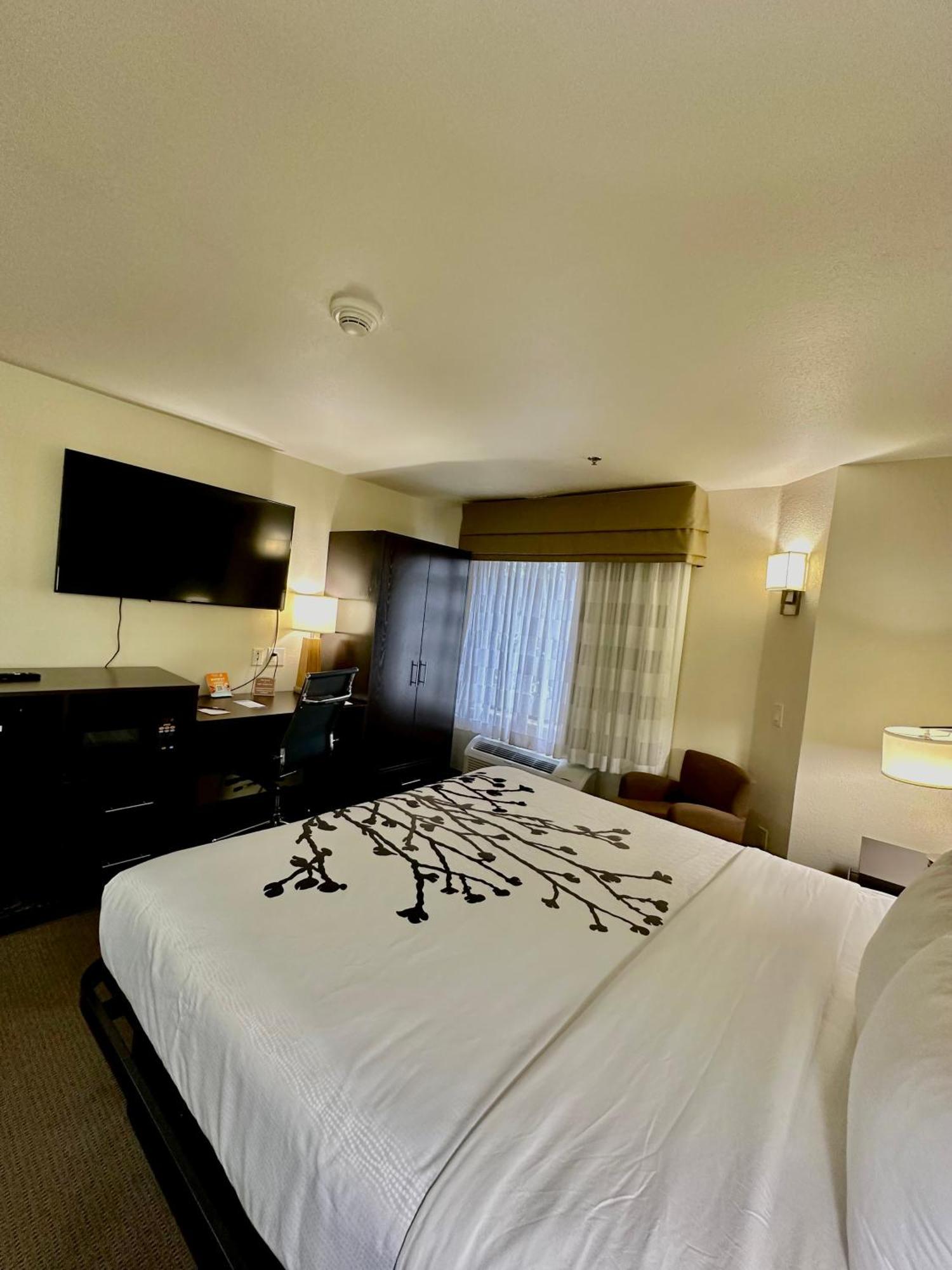 King Room Accessible or Non-Smoking