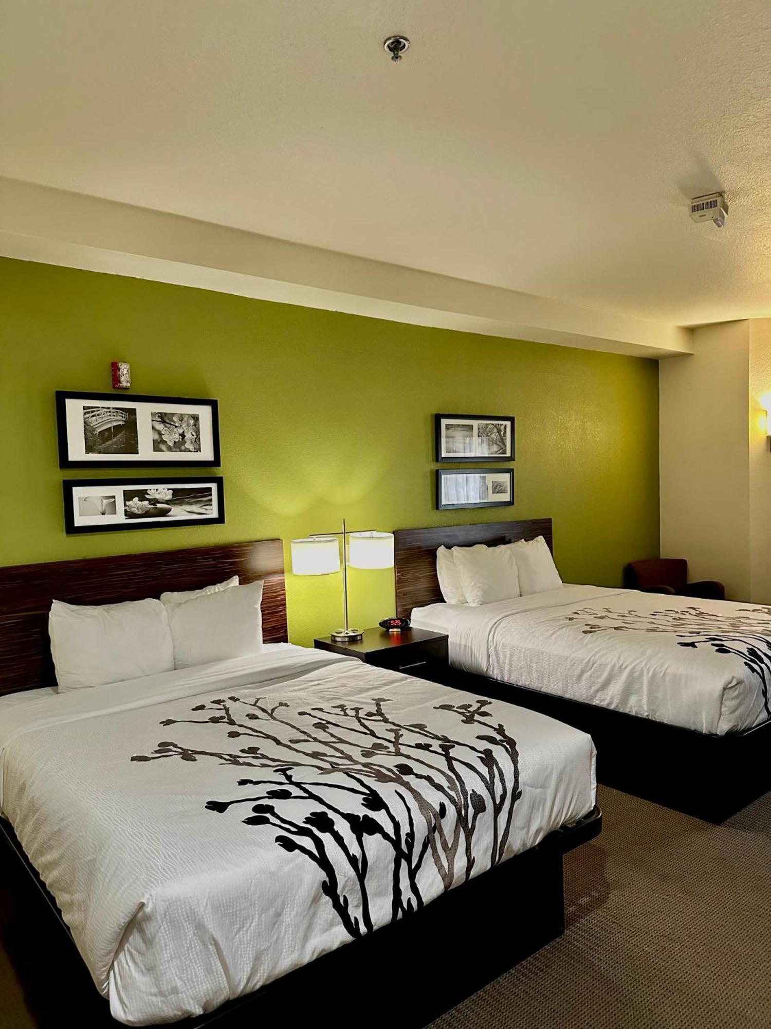 Double Room Two Double Beds Accessible or Non-Smoking