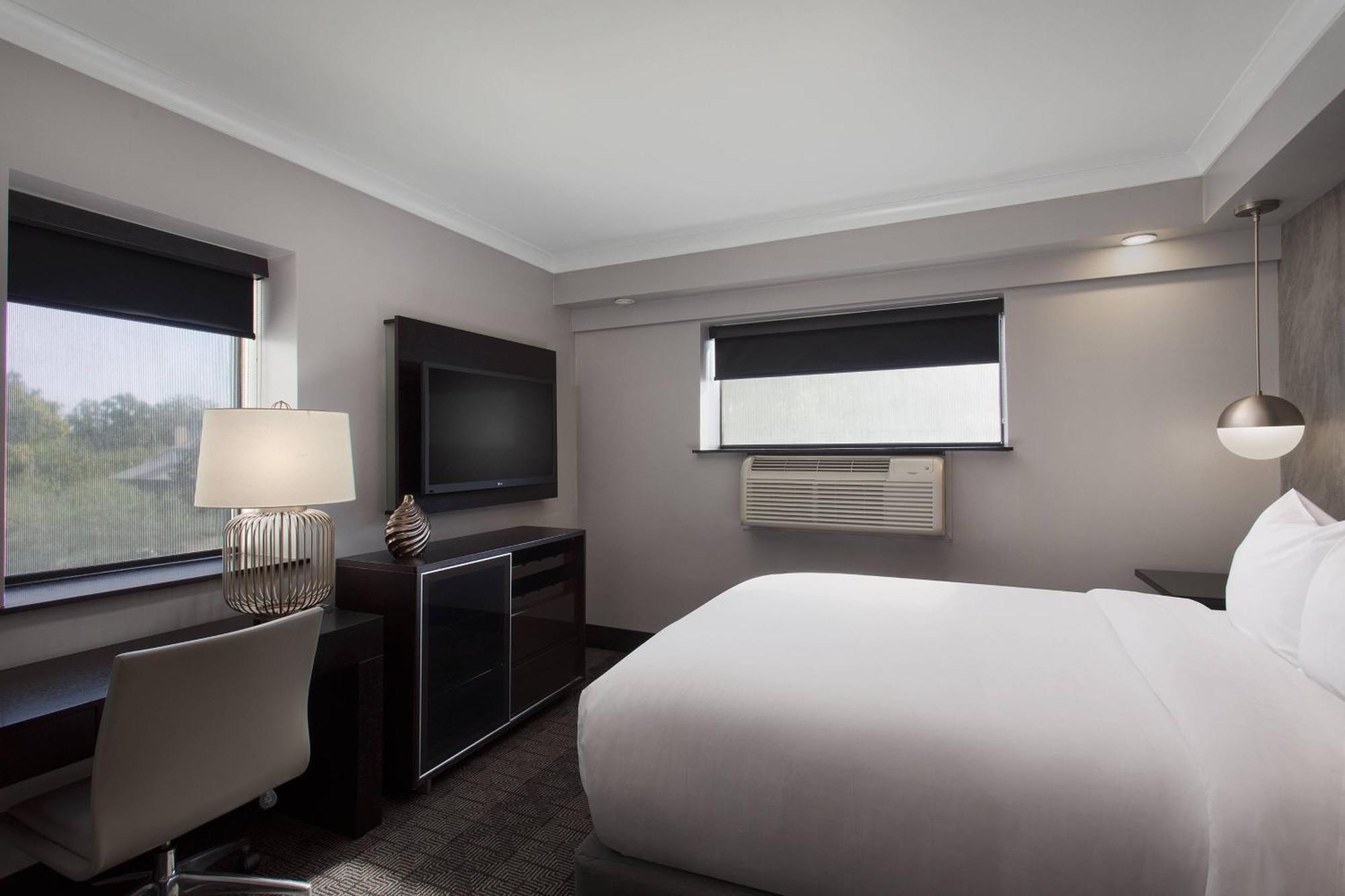 1 Bedroom Executive Suite, 1 Queen, Sofa bed