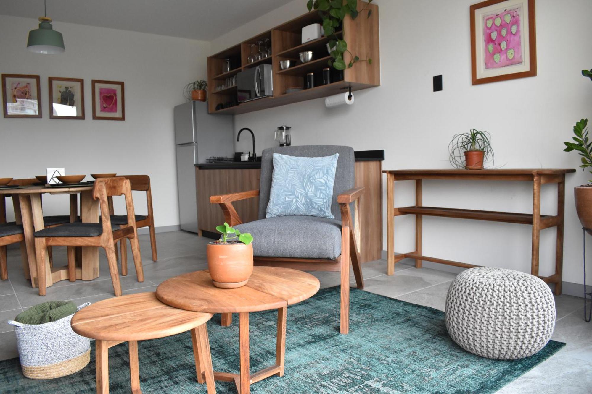Deluxe One-Bedroom Apartment
