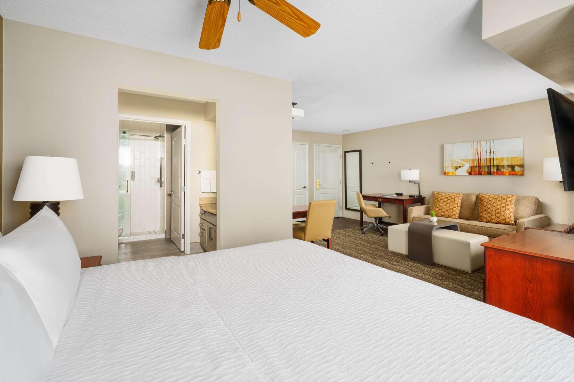 Non-Smoking King Studio Suite