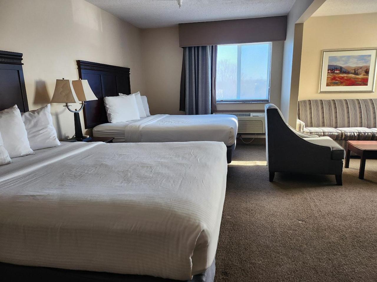 Two Queen Sofa Bed Full Kitchen