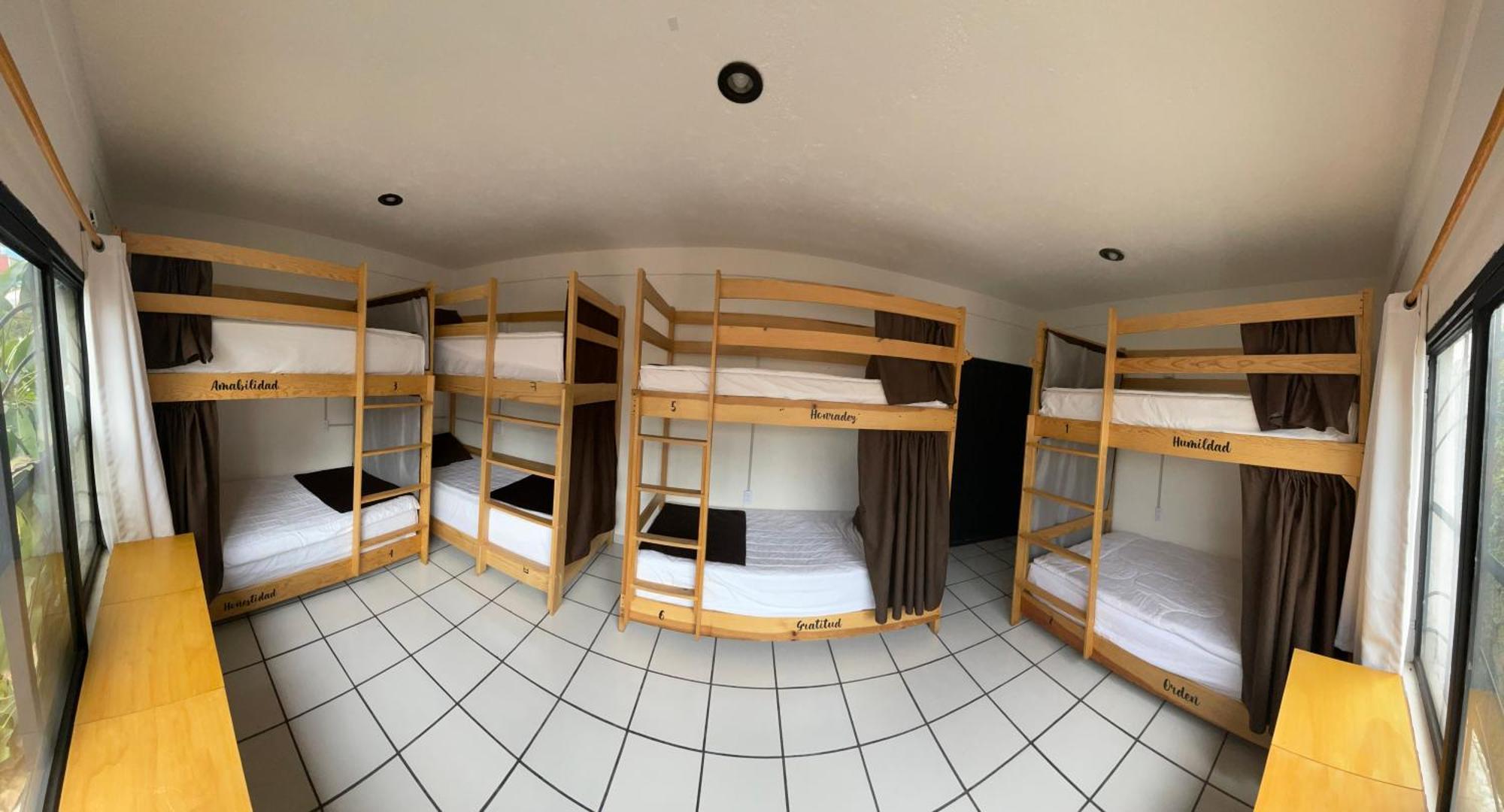 Bunk Bed Mixed Dormitory Room