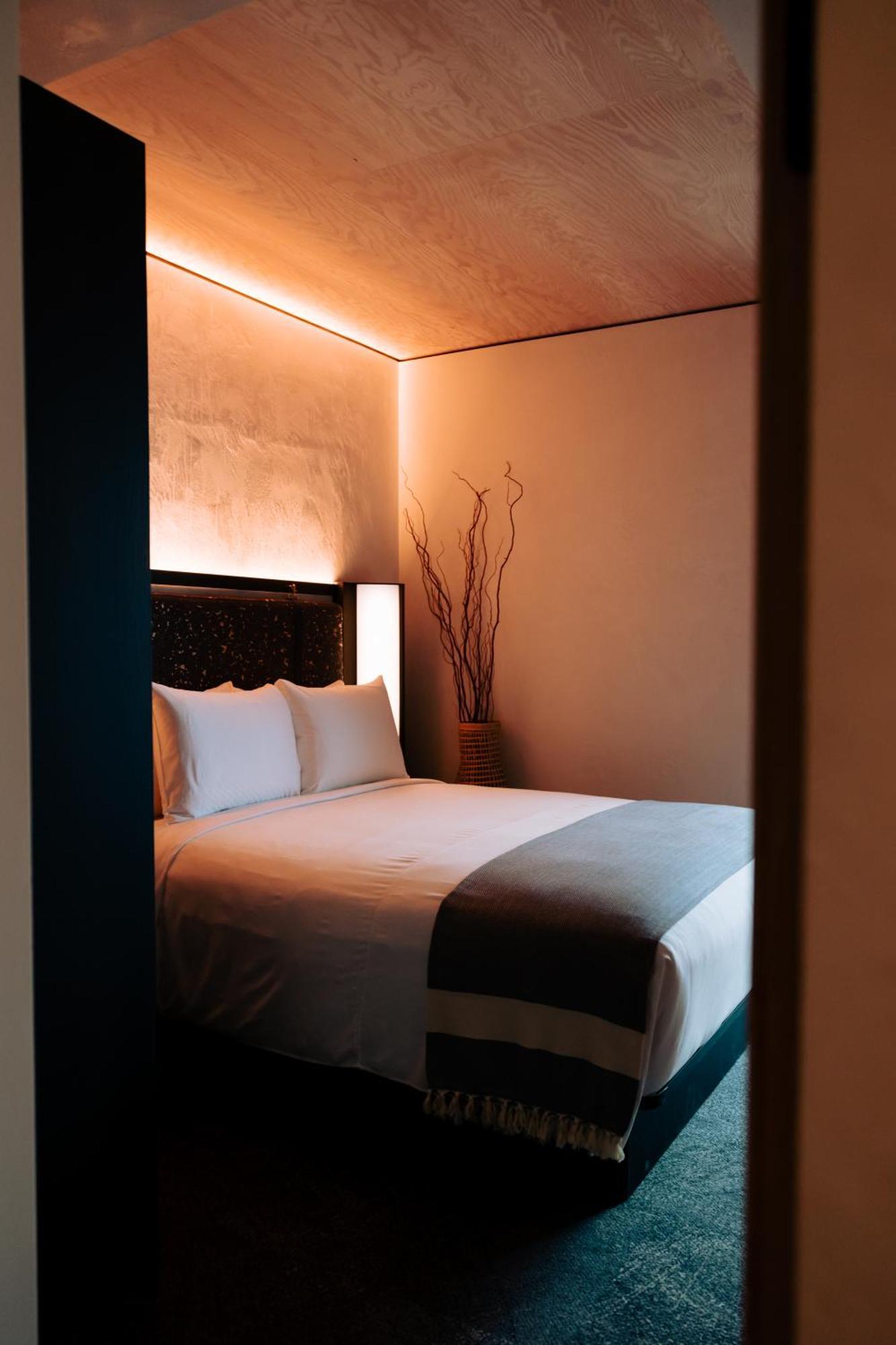 One-Bedroom Suite Accessible
