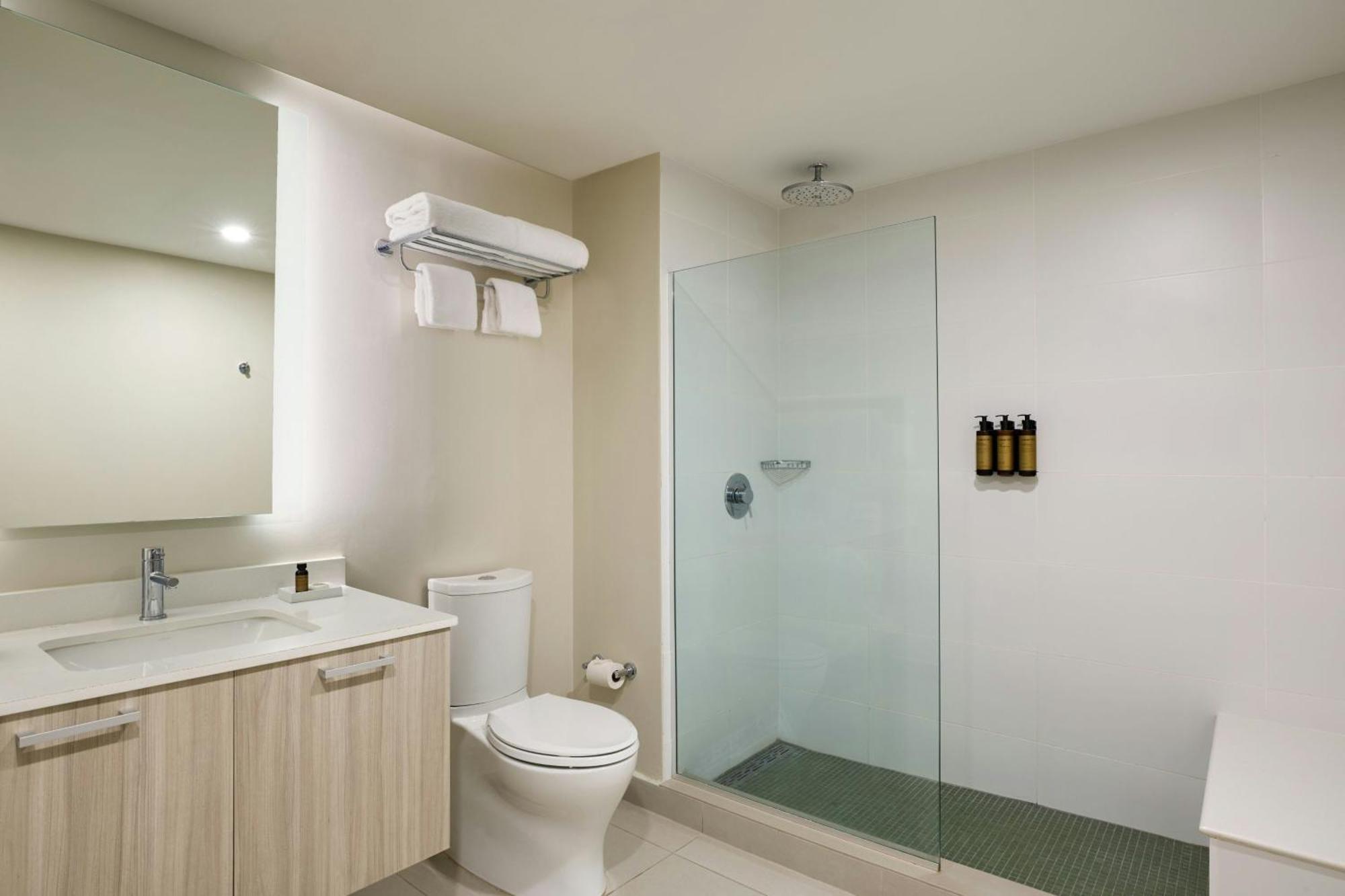 One-Bedroom Apartment Urban View Roll Shower Mobility Hearing Accessible
