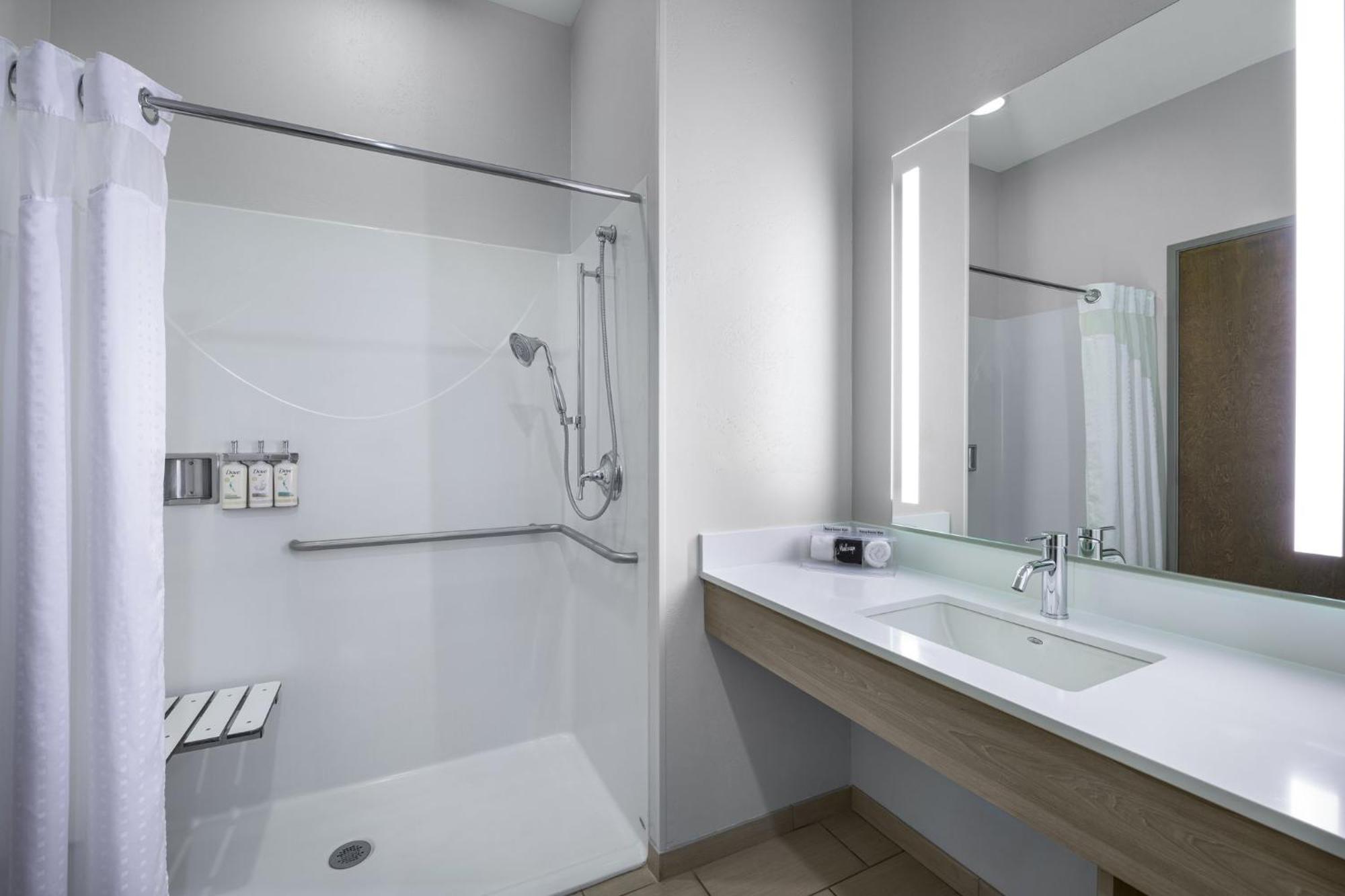 Standard King Room Mobility Accessible Roll Shower