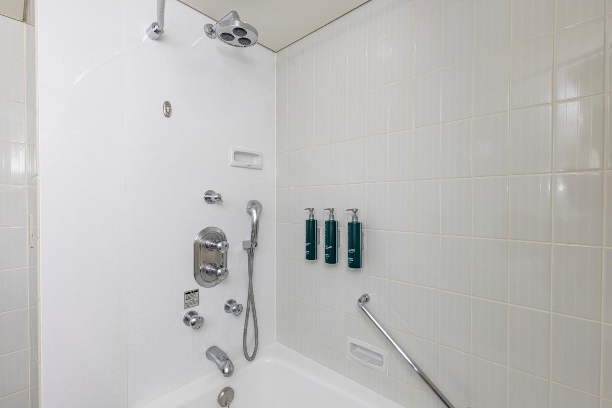 Deluxe Plus Queen Room
