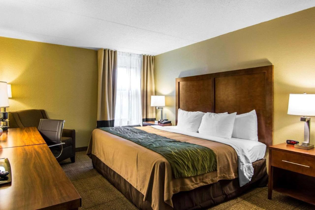 Superior King or Twin Room