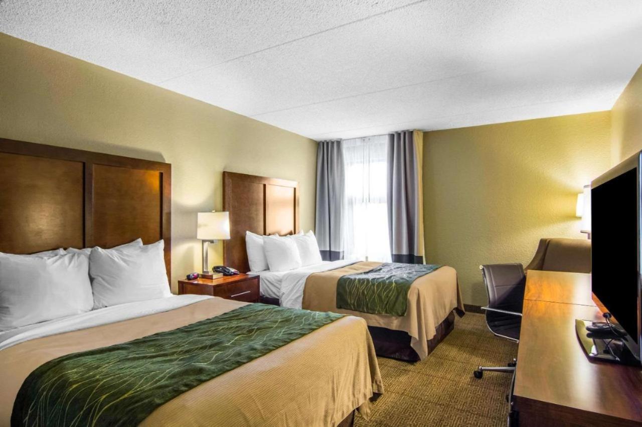 Single Room - Disability Access