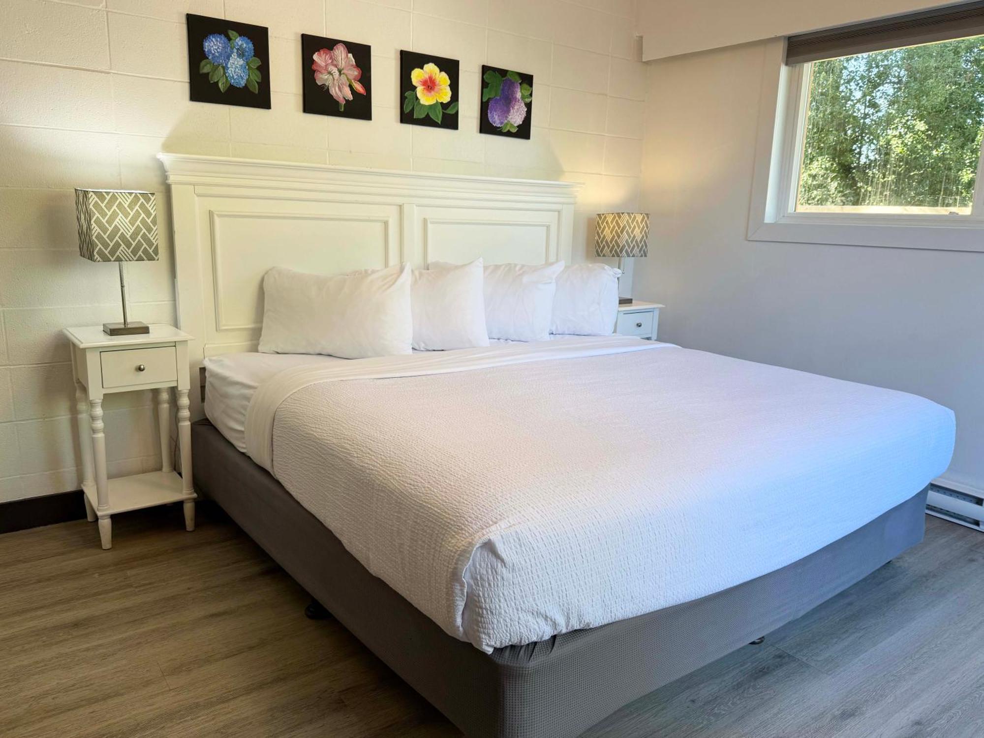 King Studio,1674717246:JPEG