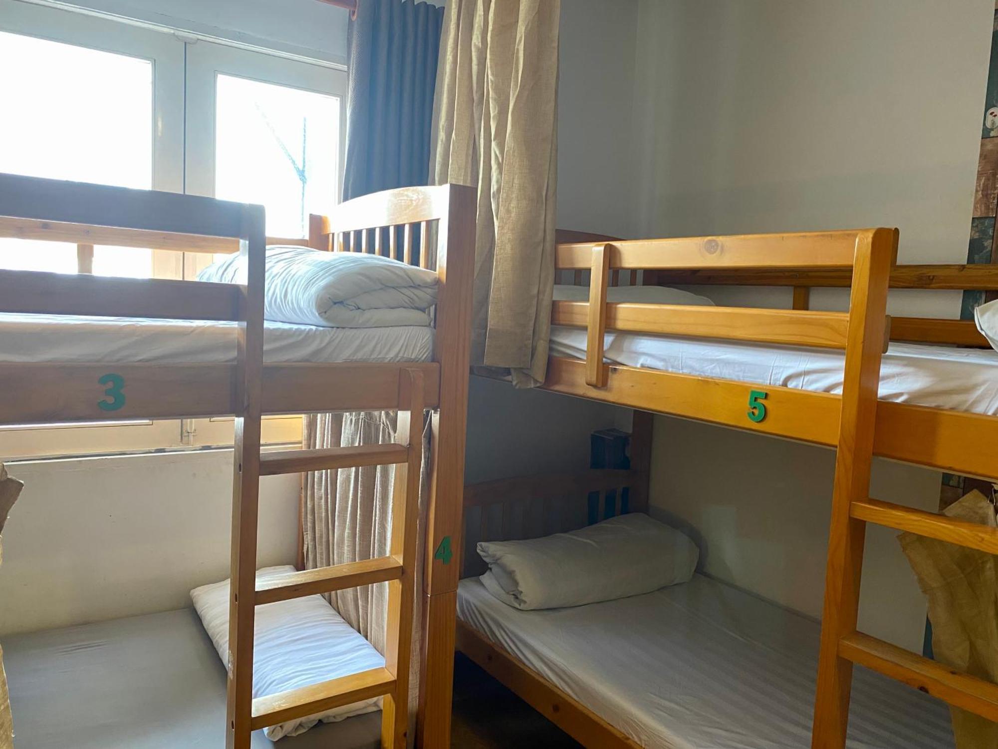 Bunk Bed Female Dormitory Room