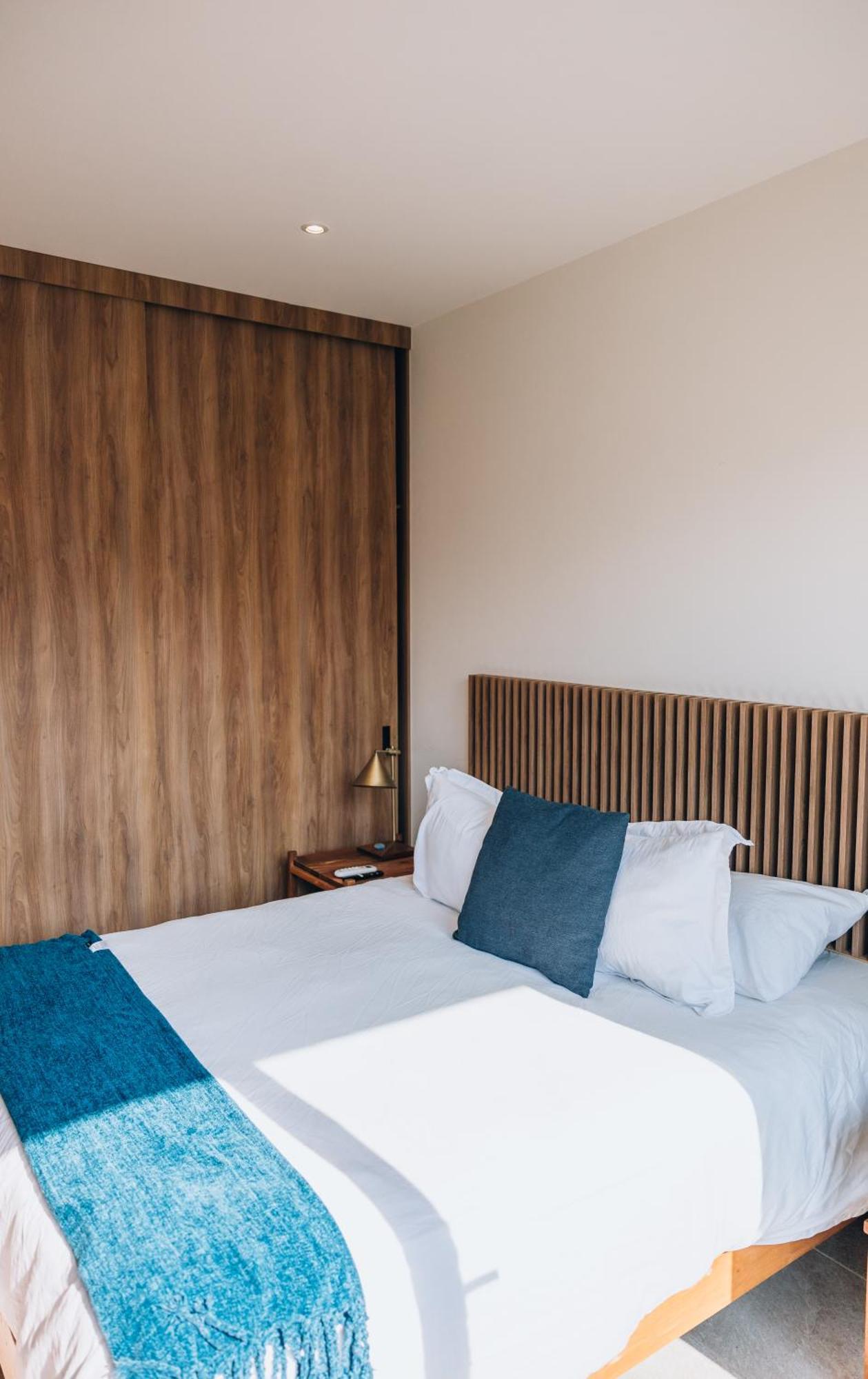 Deluxe One-Bedroom Apartment