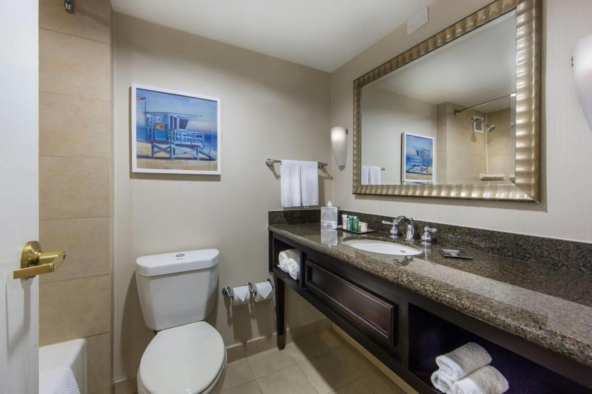 King Room Accessible Tub Mobility Access