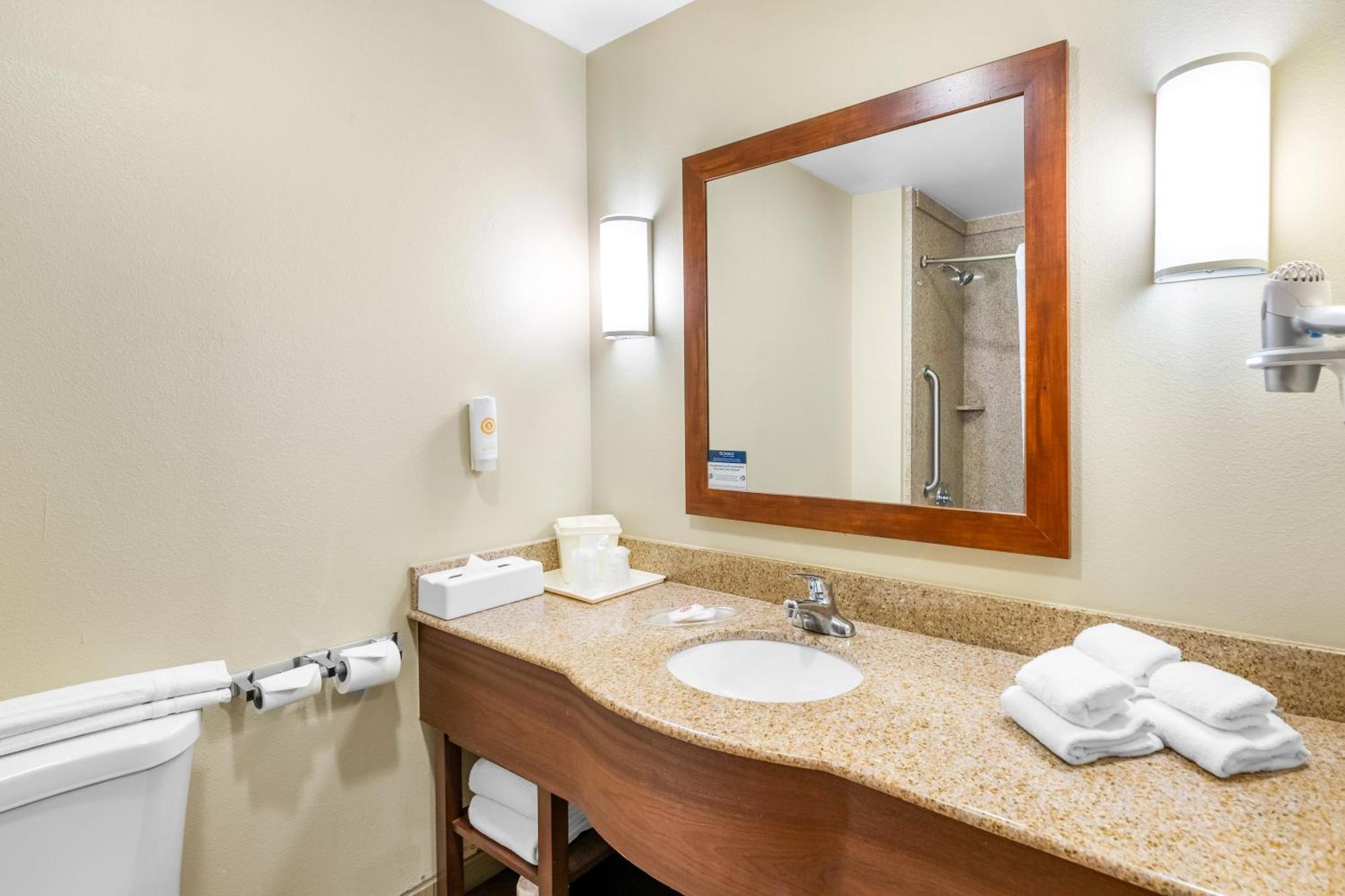 King Suite Roll Shower Accessible or Non-Smoking,1683809762:JPEG