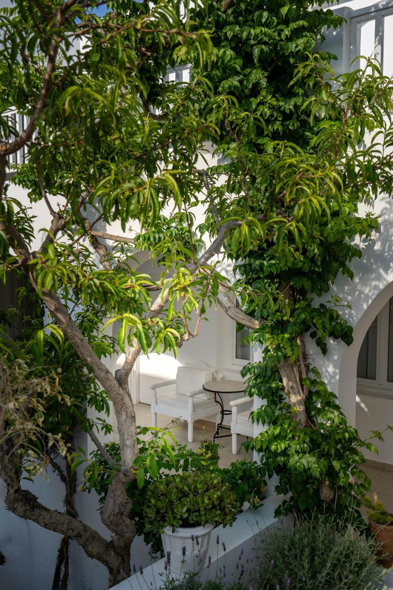 Double Room Garden Level