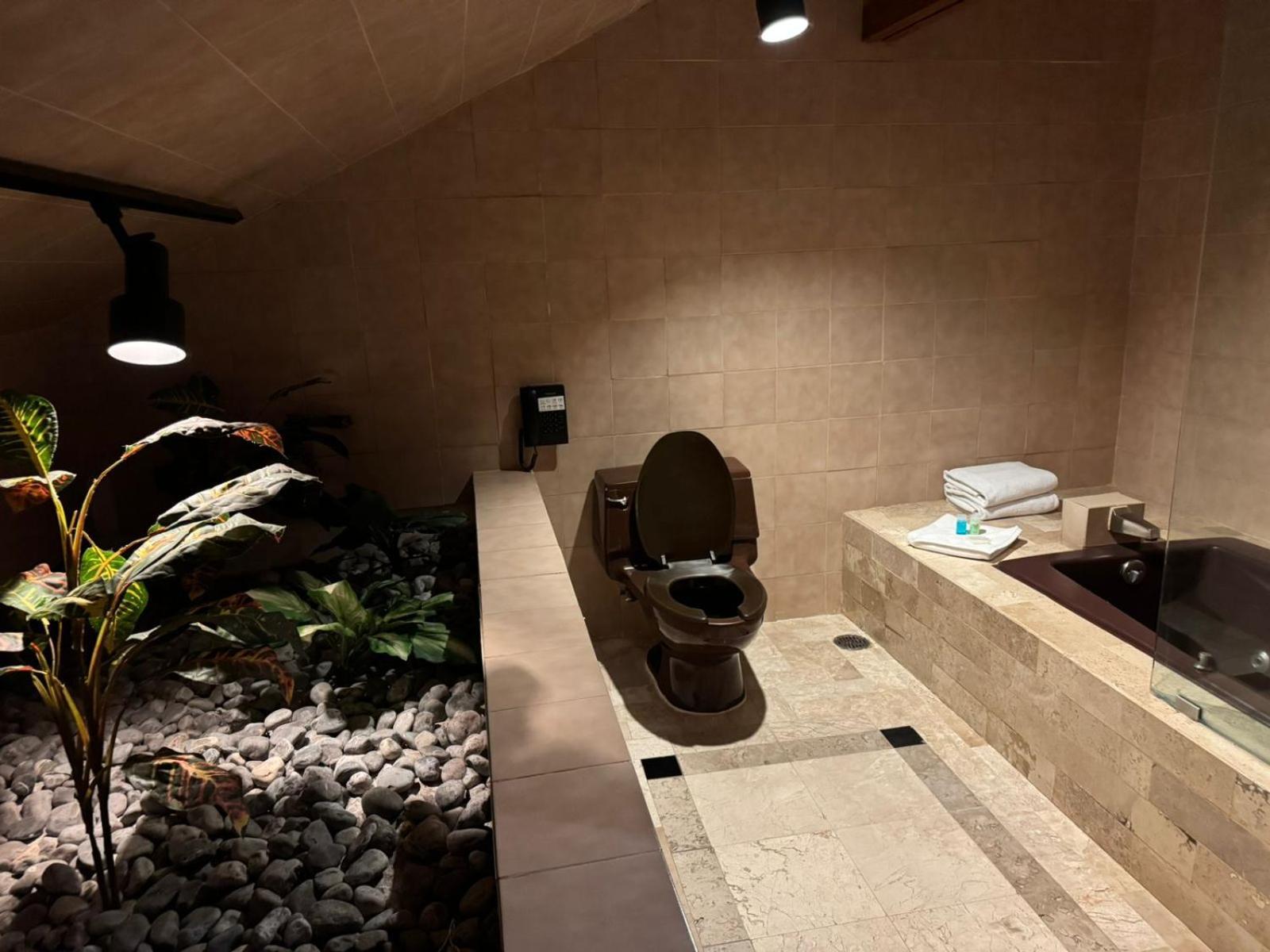Standard Suite
