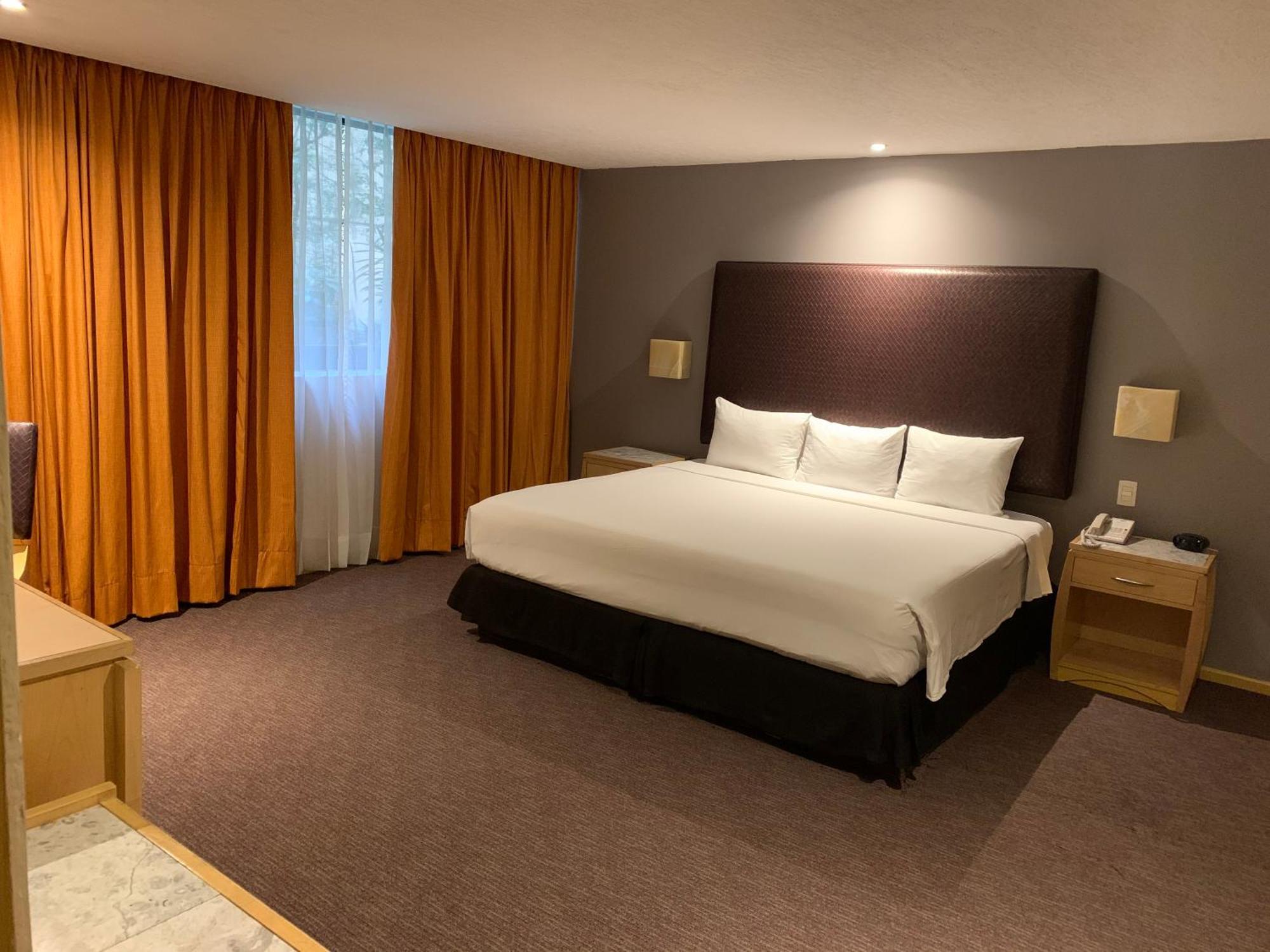 Junior Suite One Queen Bed