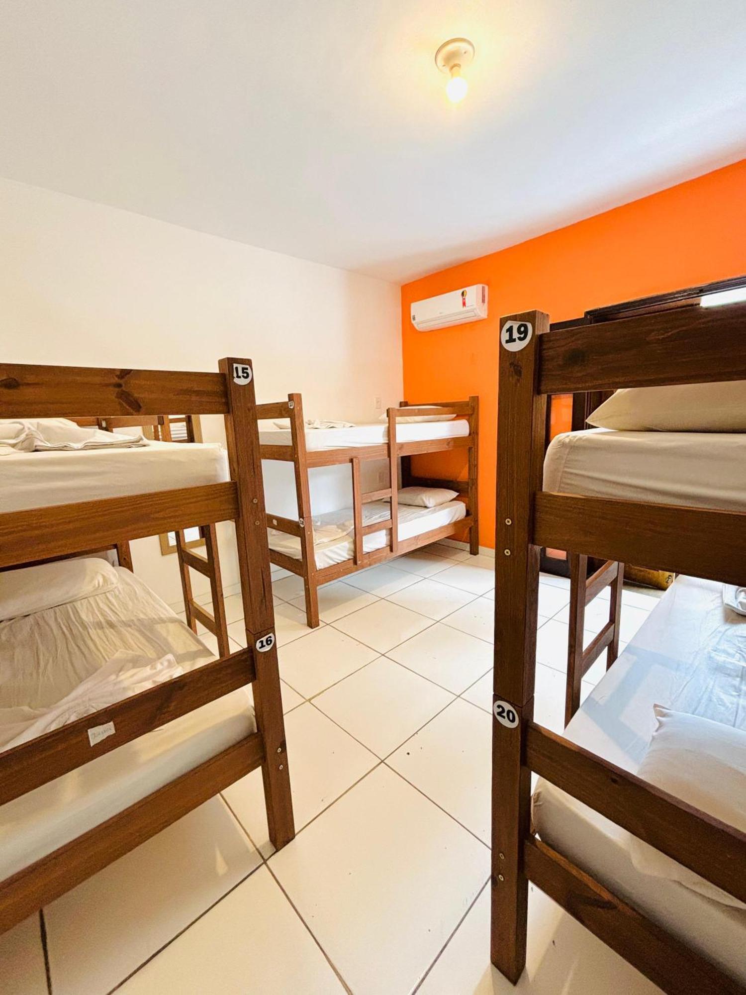 Bunk Bed Female Dormitory Room