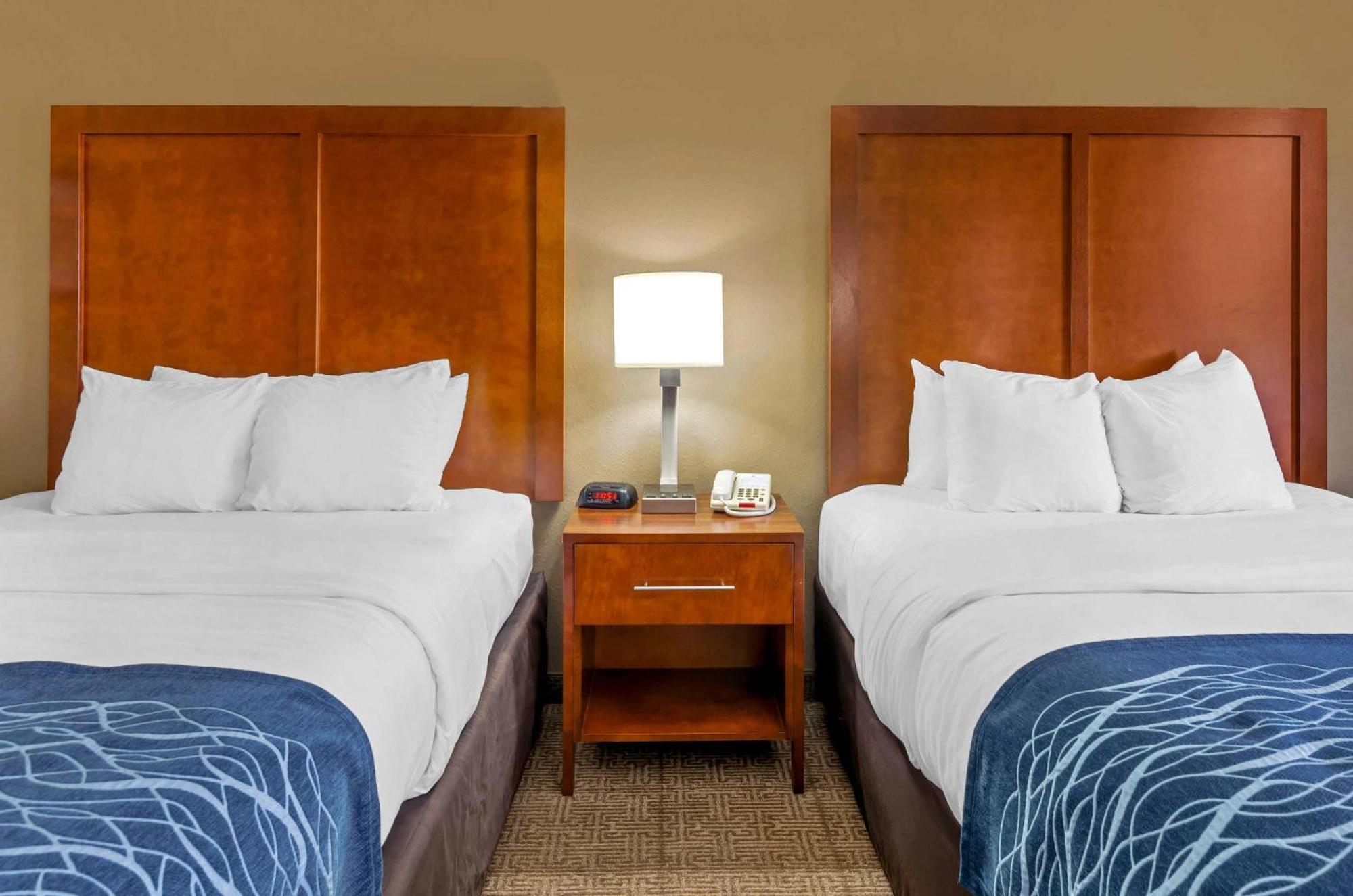 Queen Room Two Queen Beds Non-Smoking