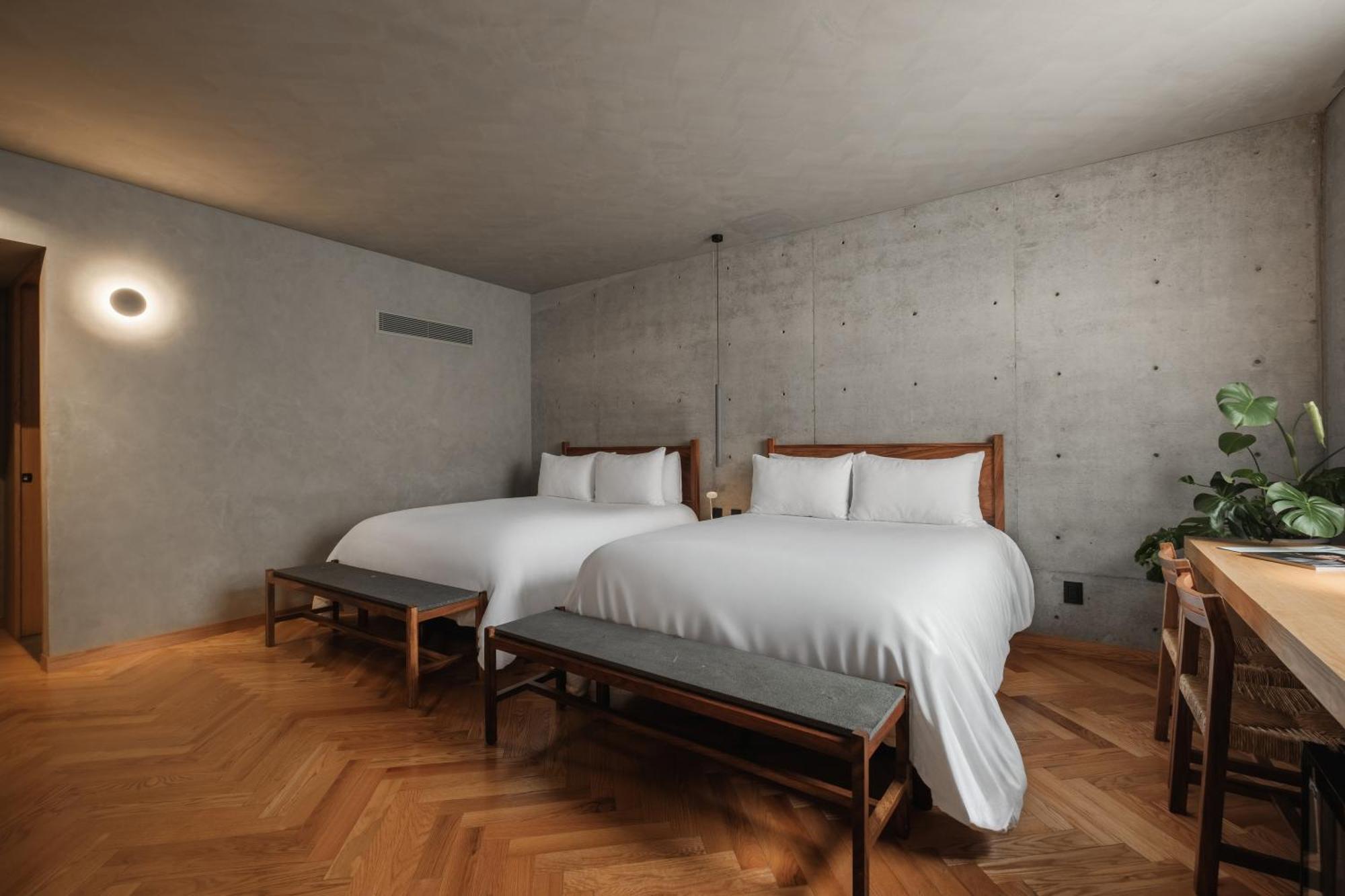 Suite Terrace