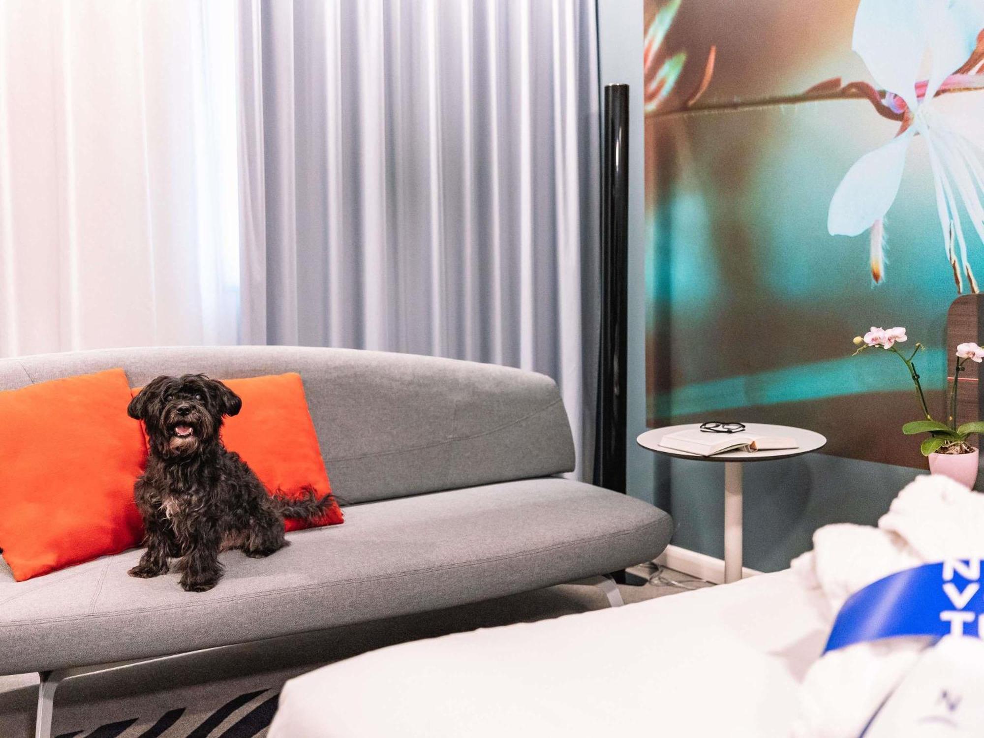 Executive Business Room,1704850322:JPEG