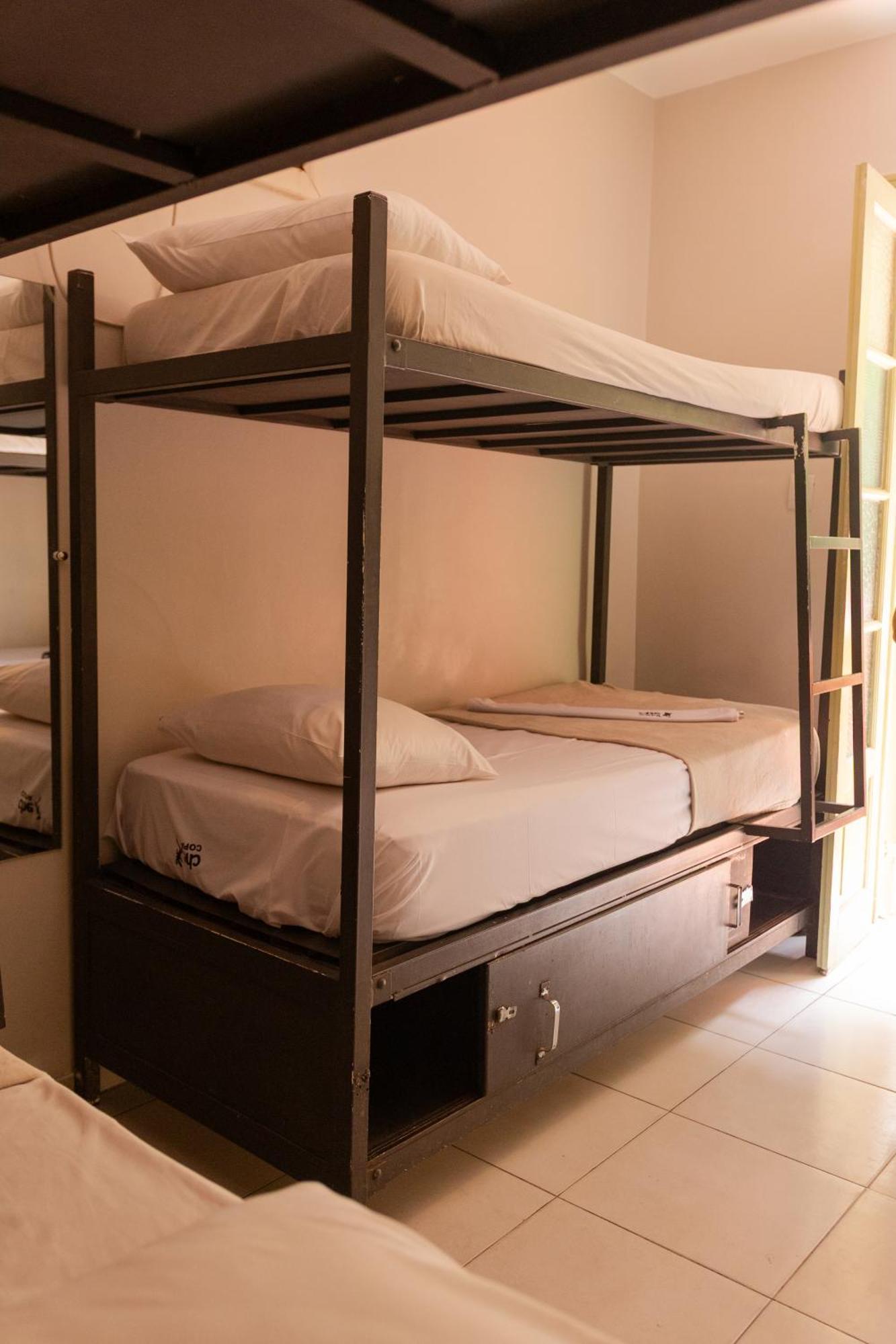 Bunk Bed Mixed Dormitory Room