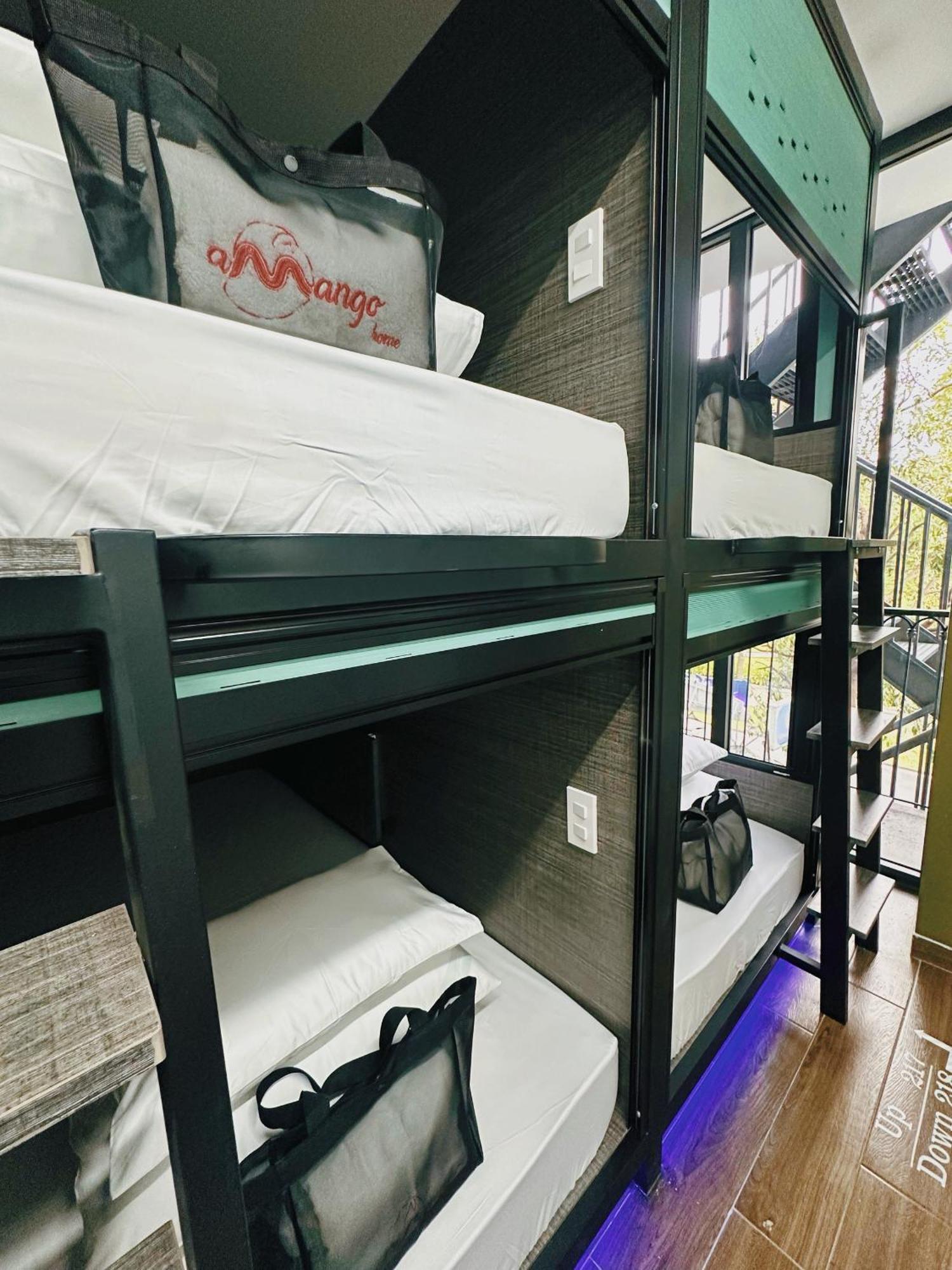 Single Bed Mixed Dormitory Room