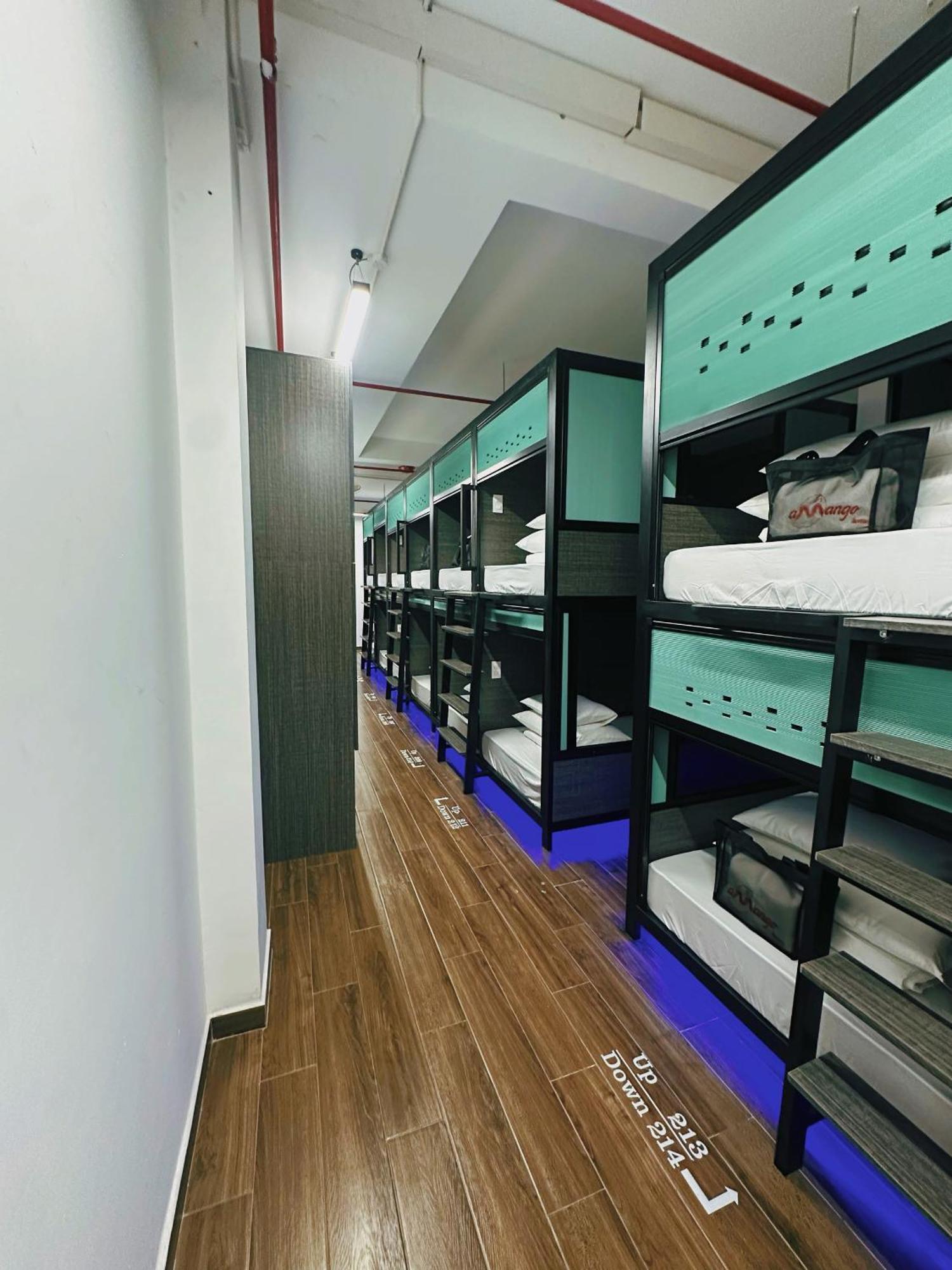 Single Bed Mixed Dormitory Room