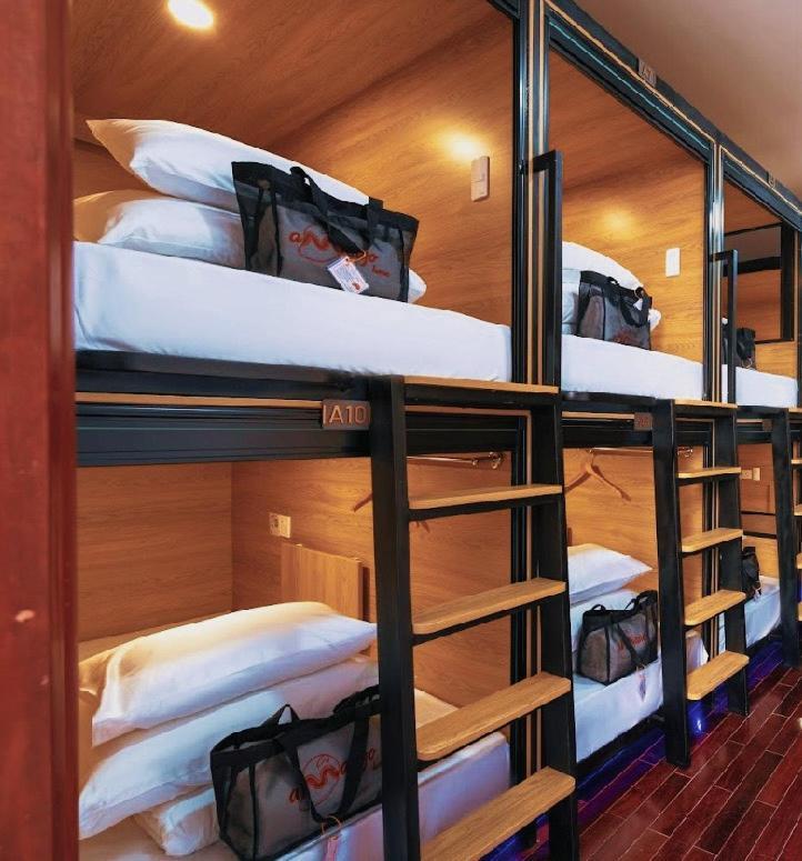 Single Bed Mixed Dormitory Room