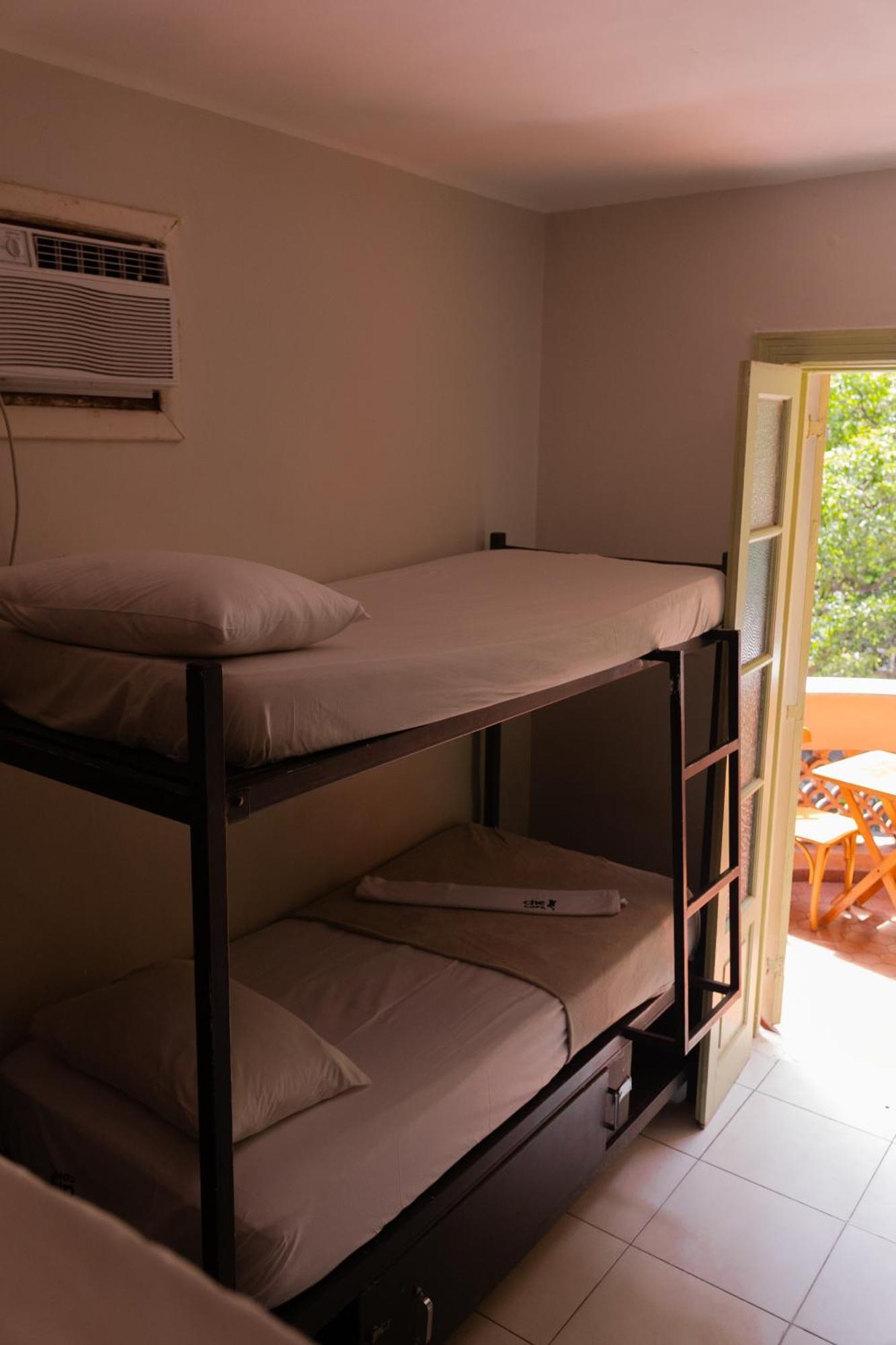 Bunk Bed Mixed Dormitory Room