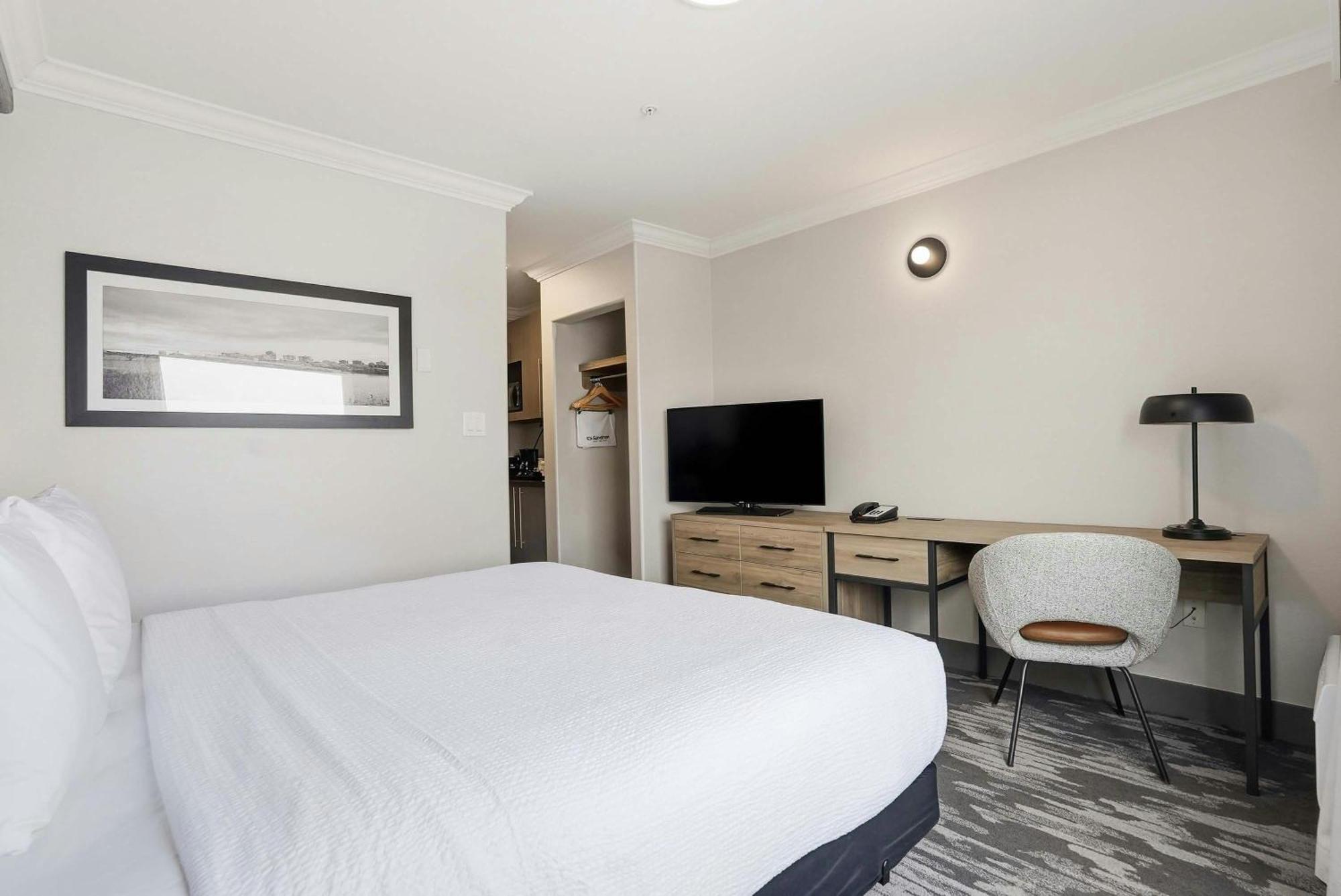 Standard Suite, 1 King Bed, Sofa Bed, Kitchenette