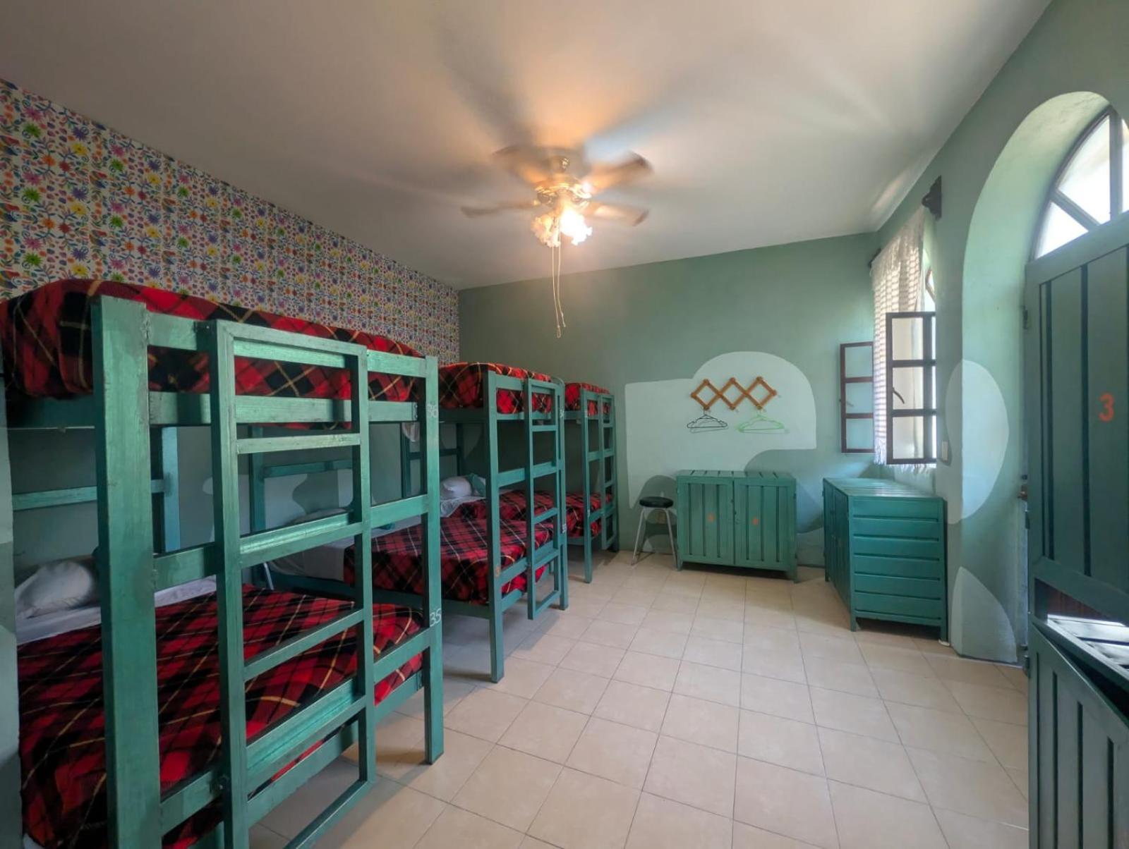 Bed in 10-Bed Mixed Dormitory Room