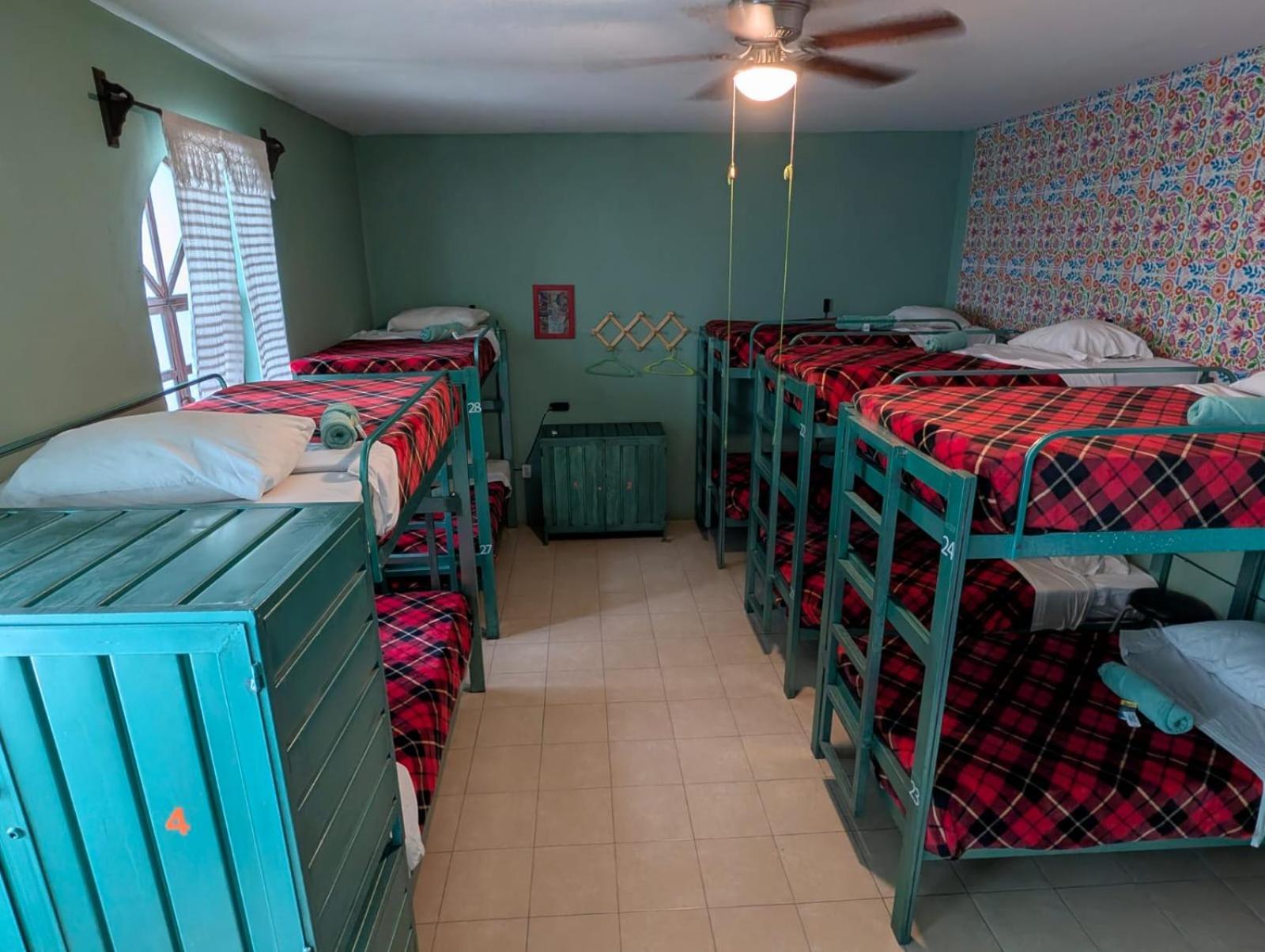 Bed in 12-Bed Dormitory Room