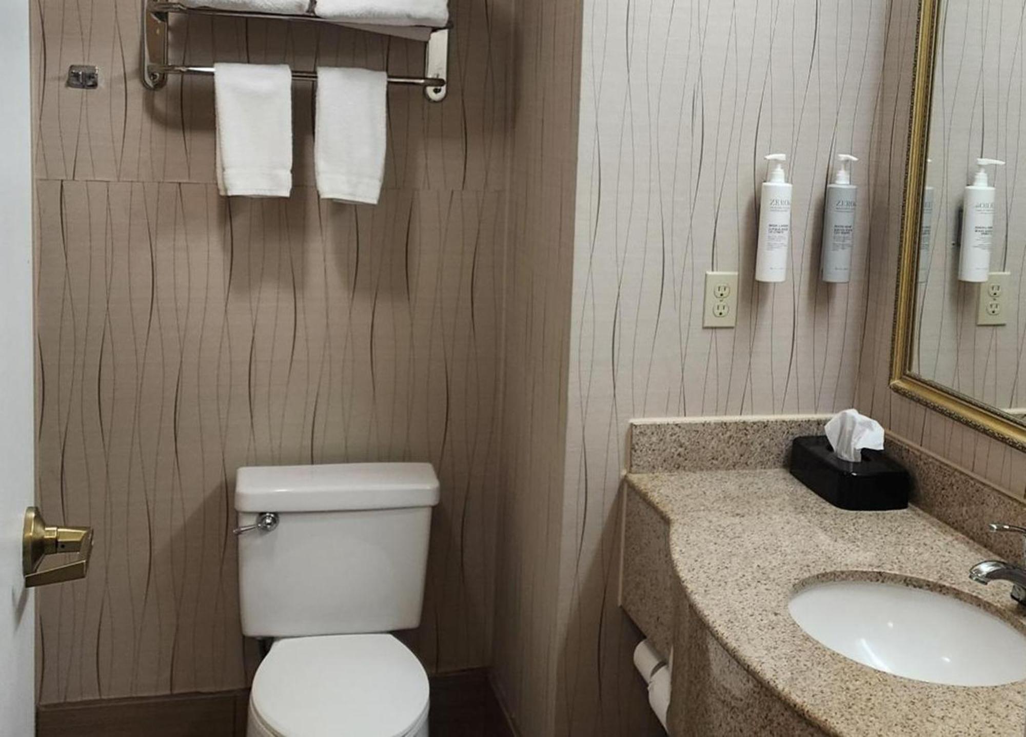 King Room Mobility Access Bathtub Grab Bars Non-Smoking