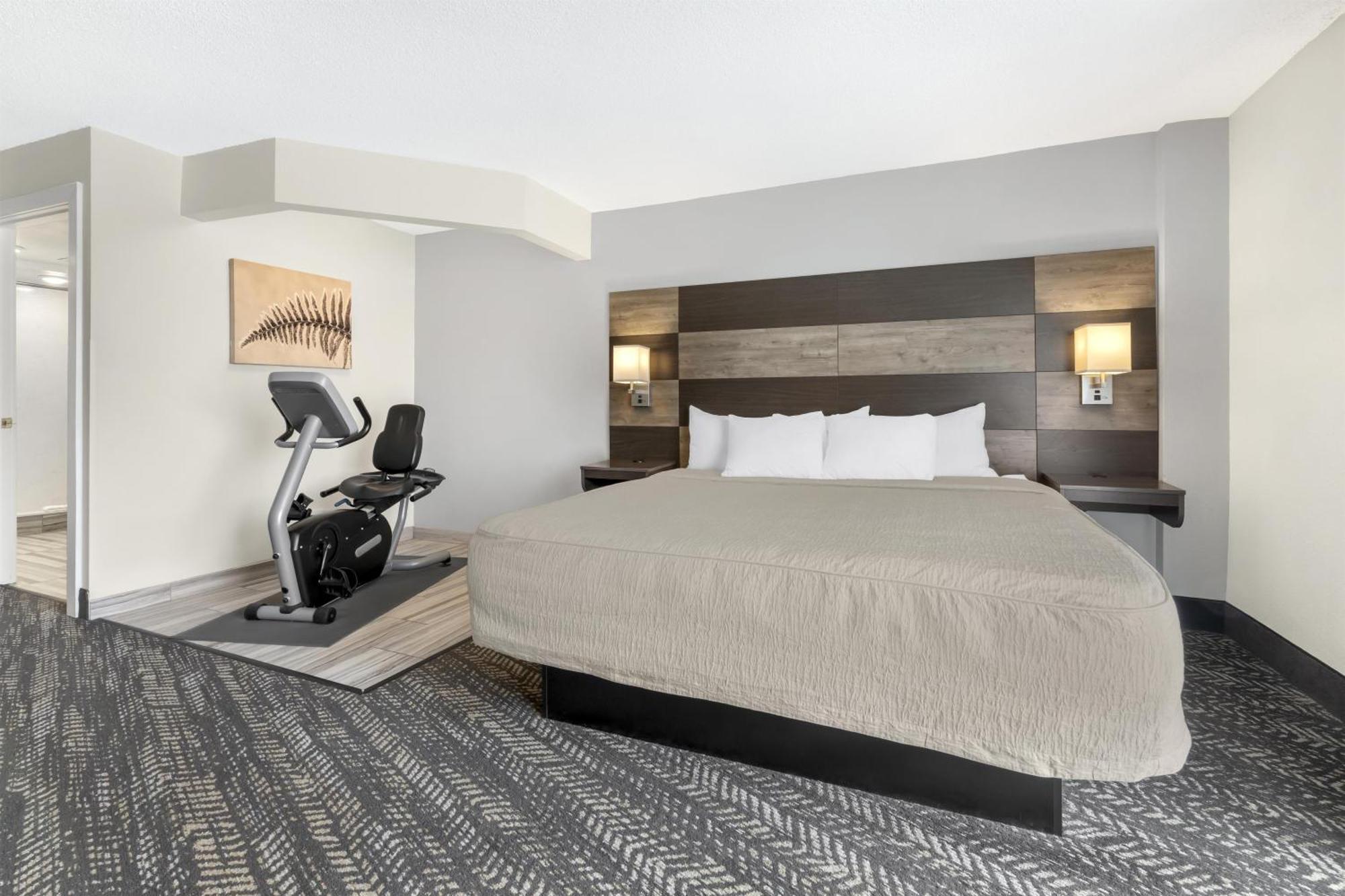 King Room Exercise Bike