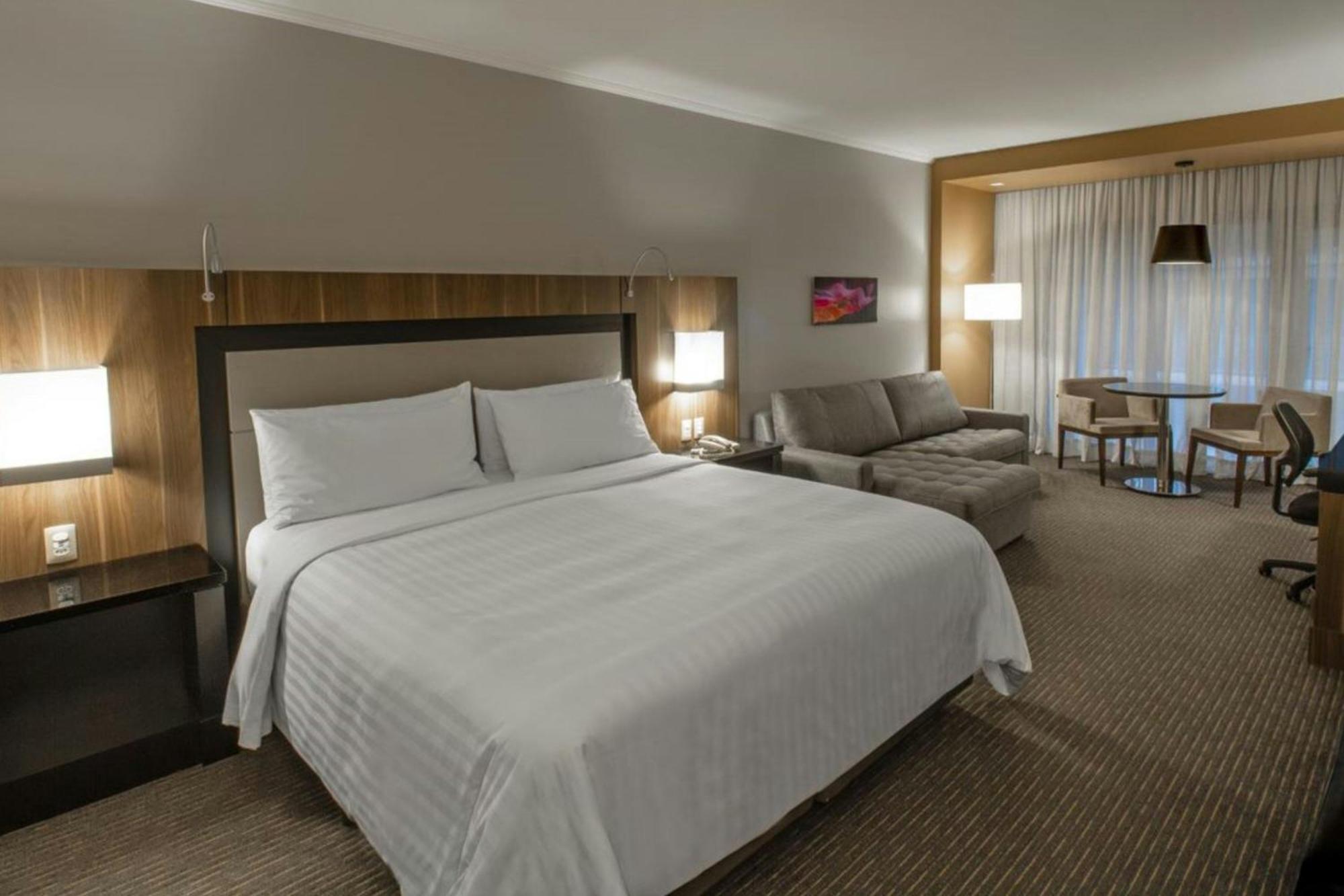 Junior King Suite Lounge Access