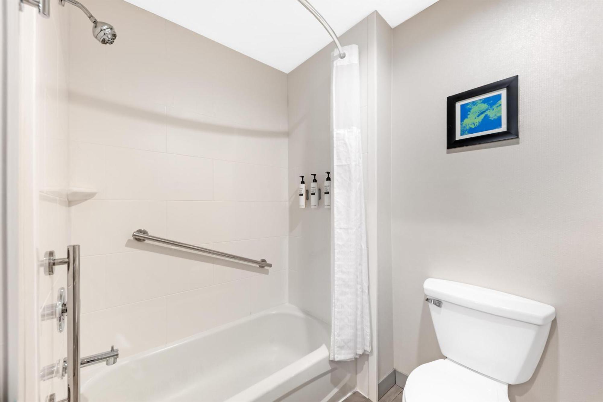One-Bedroom King Suite - Non-Smoking