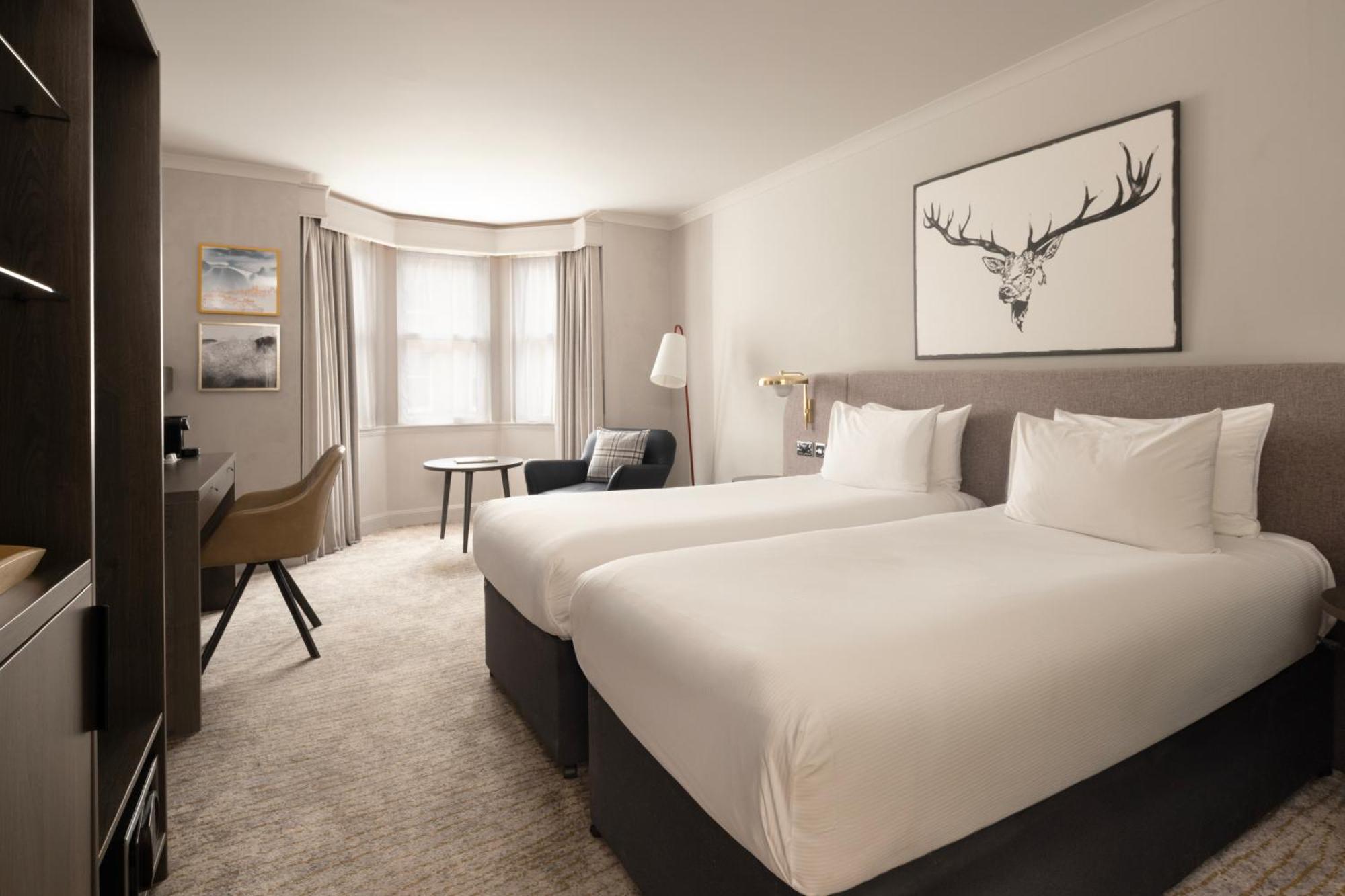 Executive Twin Room