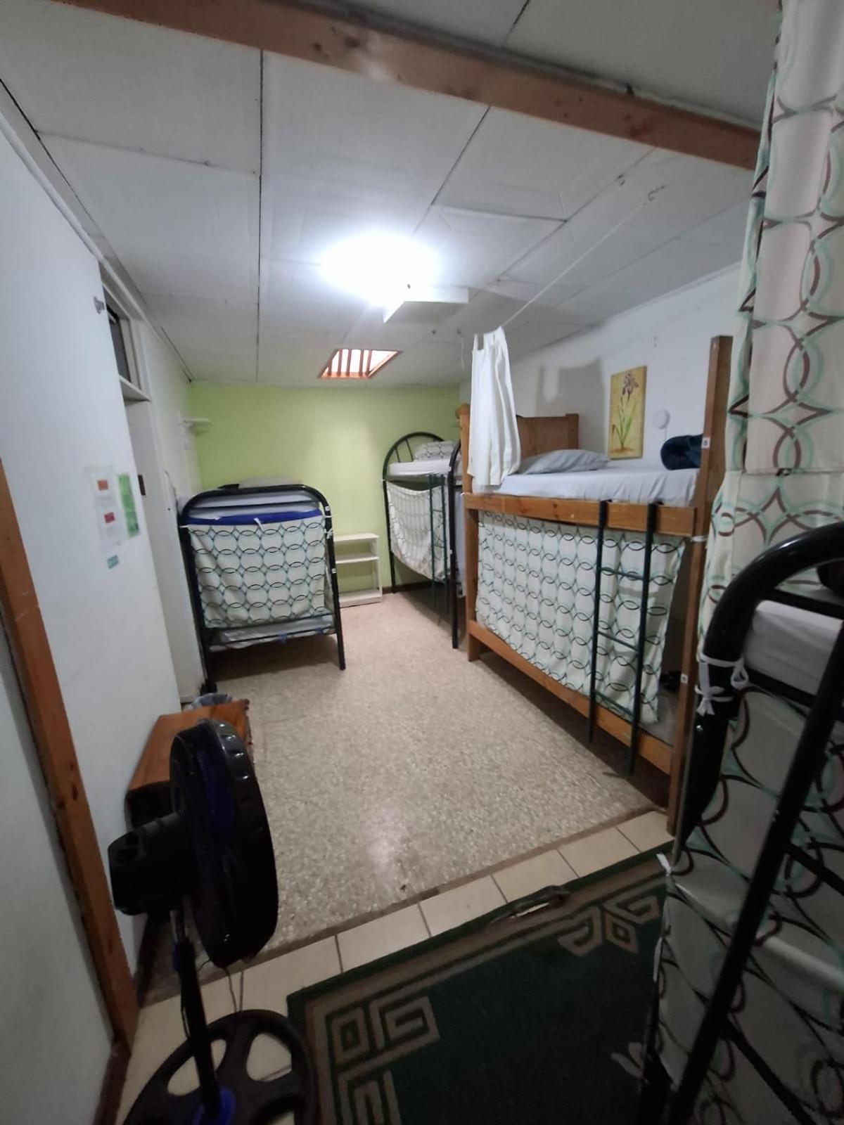 Single Bed in Mixed Dormitory Room