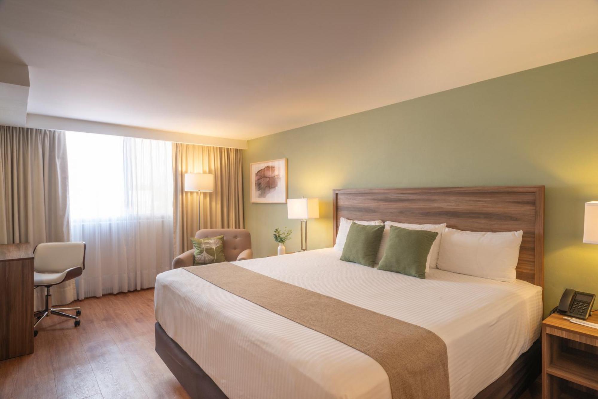 King Room