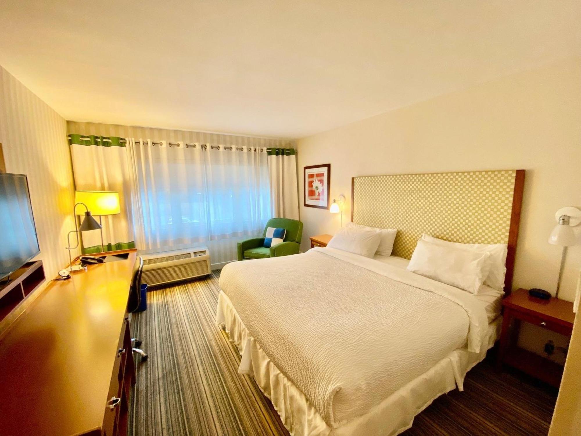 King Suite with Sofa Bed