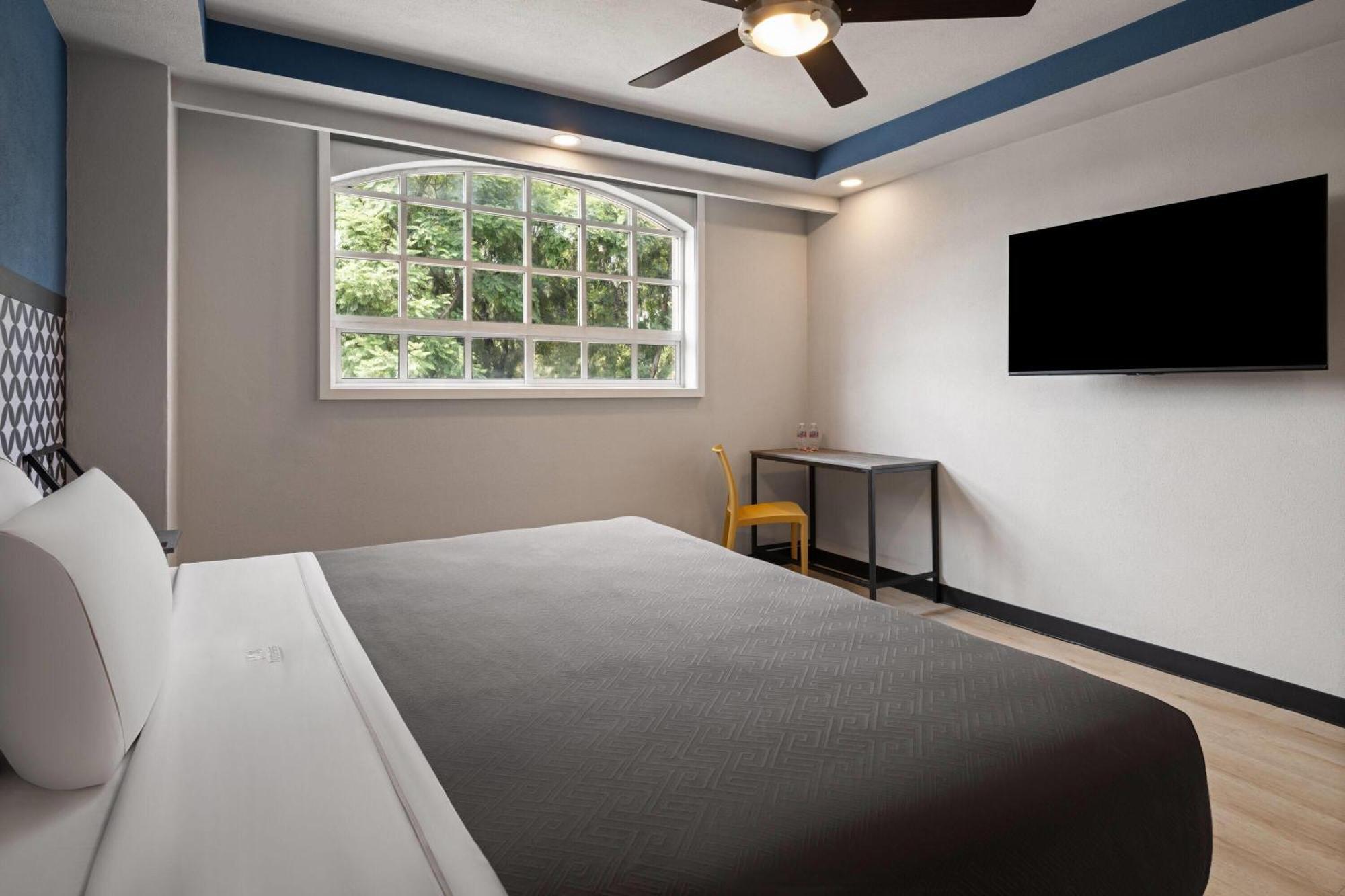 Comfort King Room Non-Smoking